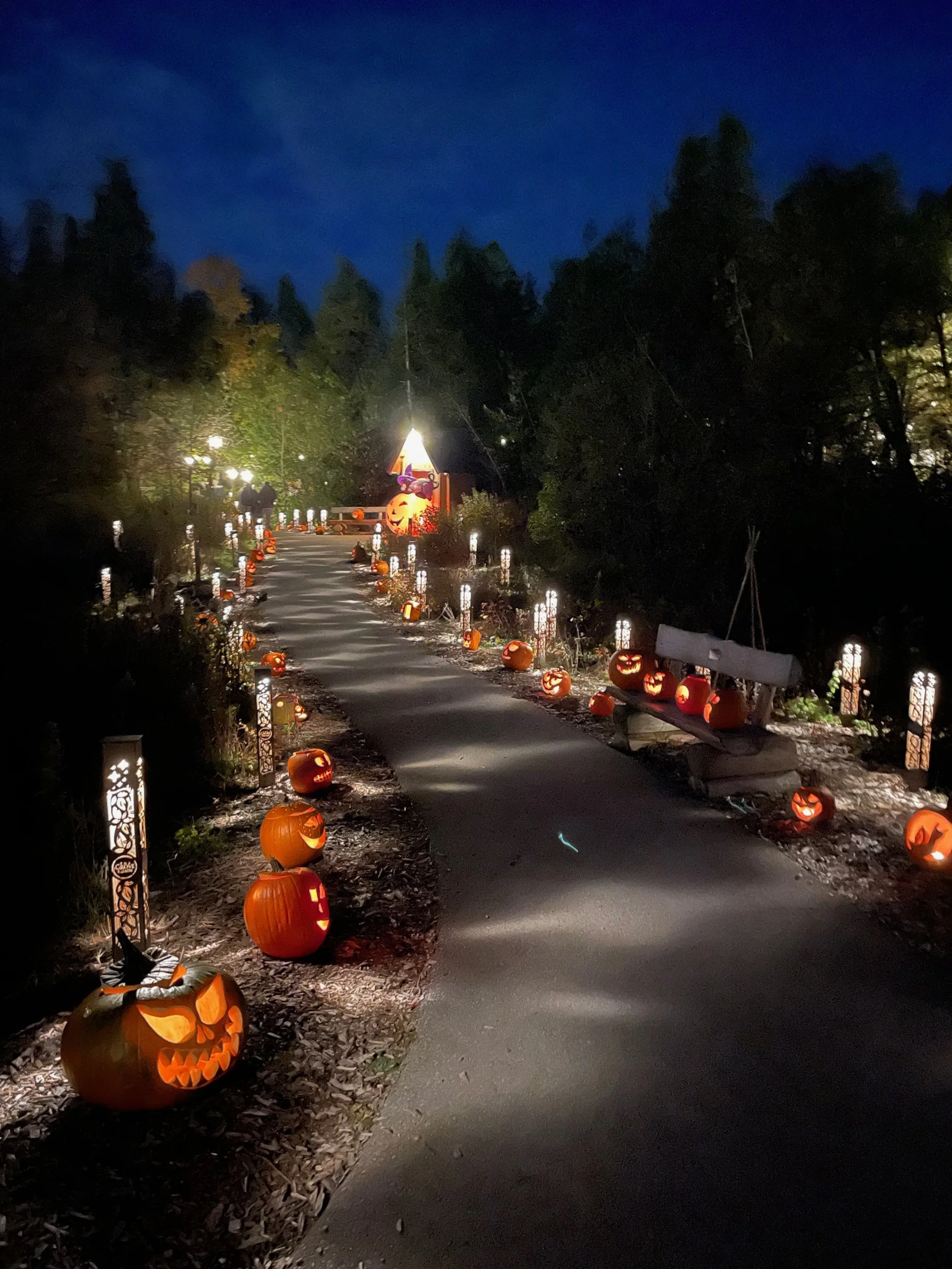 Photo Round Up - November 6, 2025  