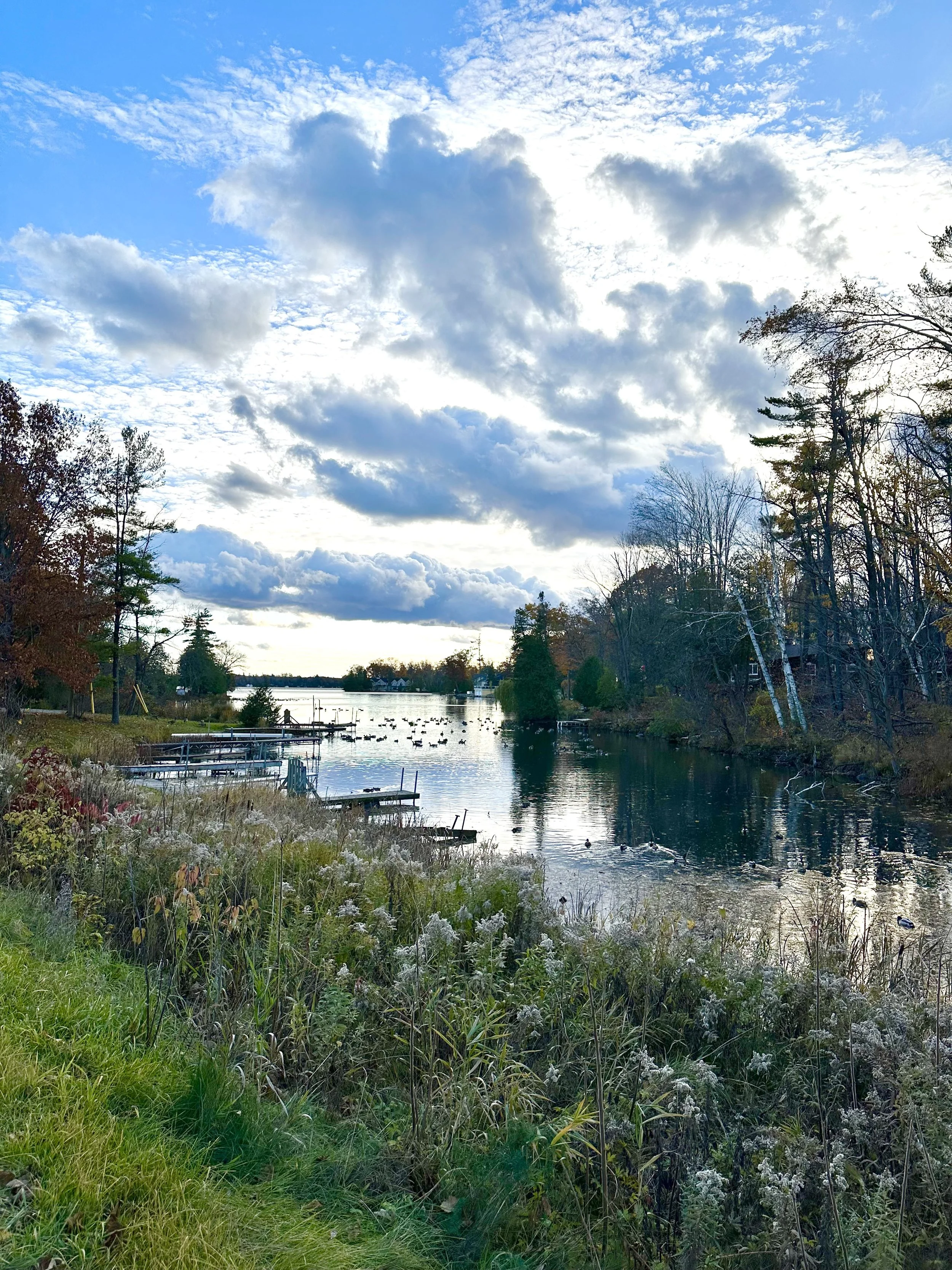 Submitted by Annabelle Murray