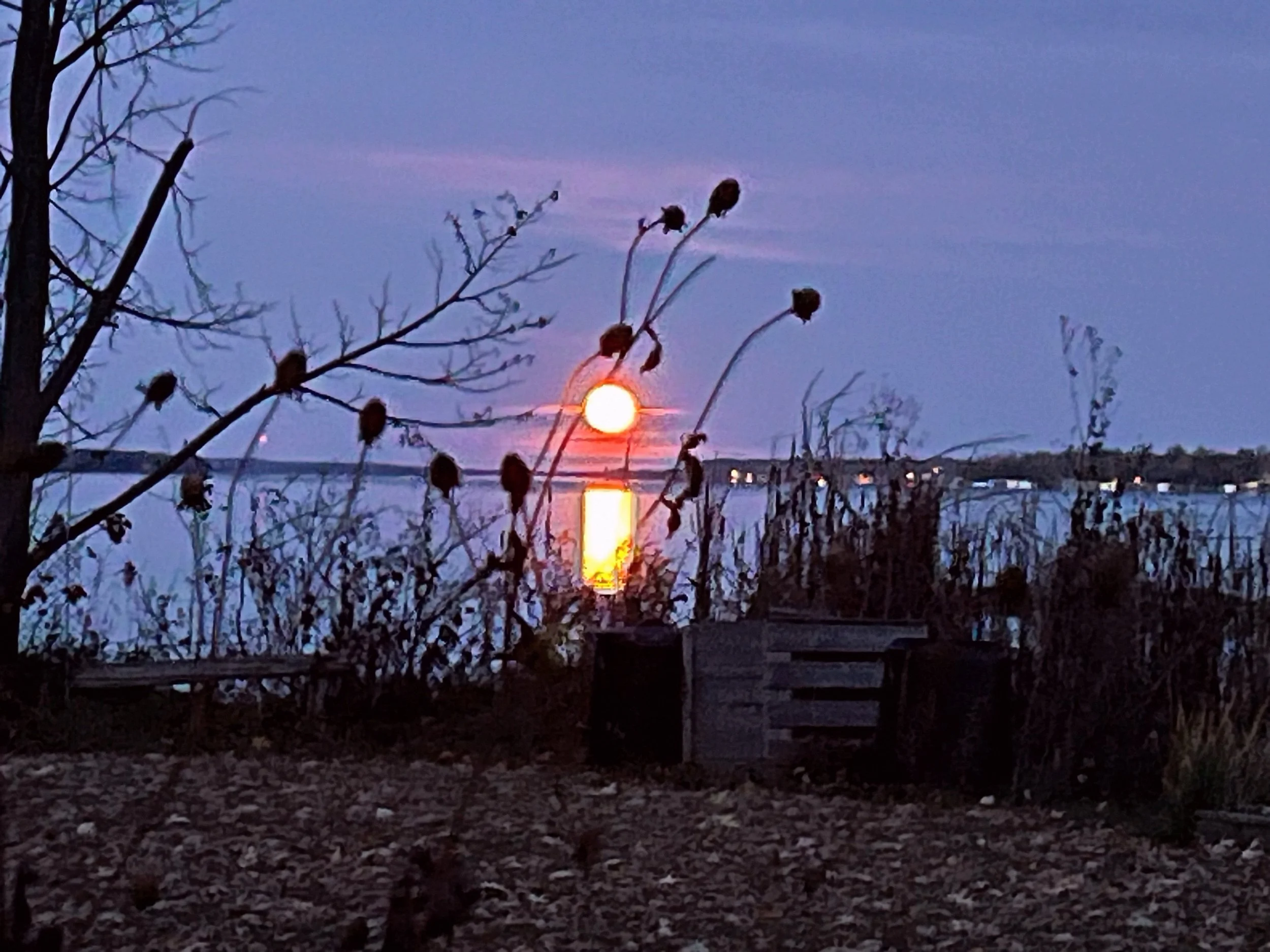 Submitted by Kevin Drea