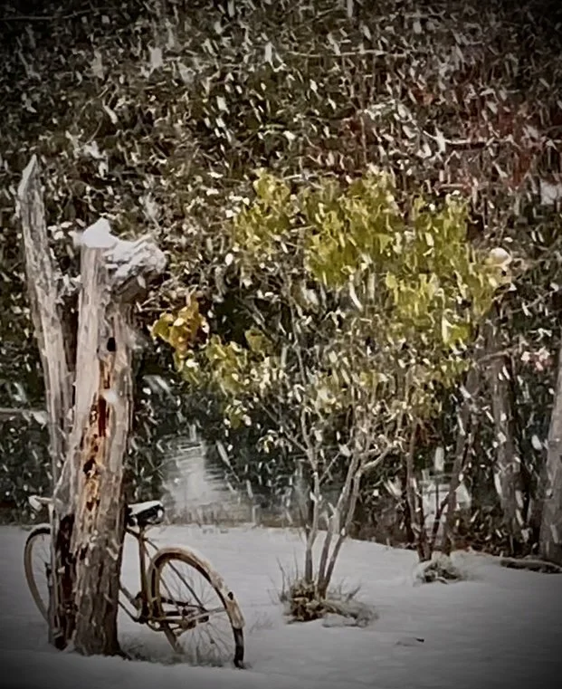 Submitted by Anne Yorke