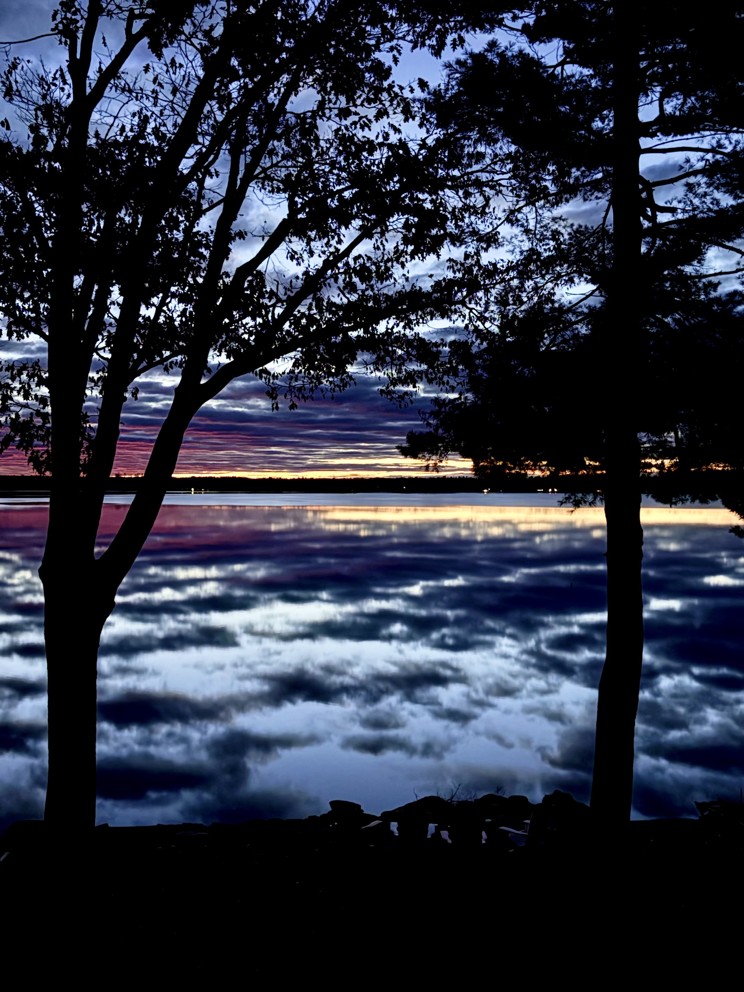 Submitted by Dale Hircock