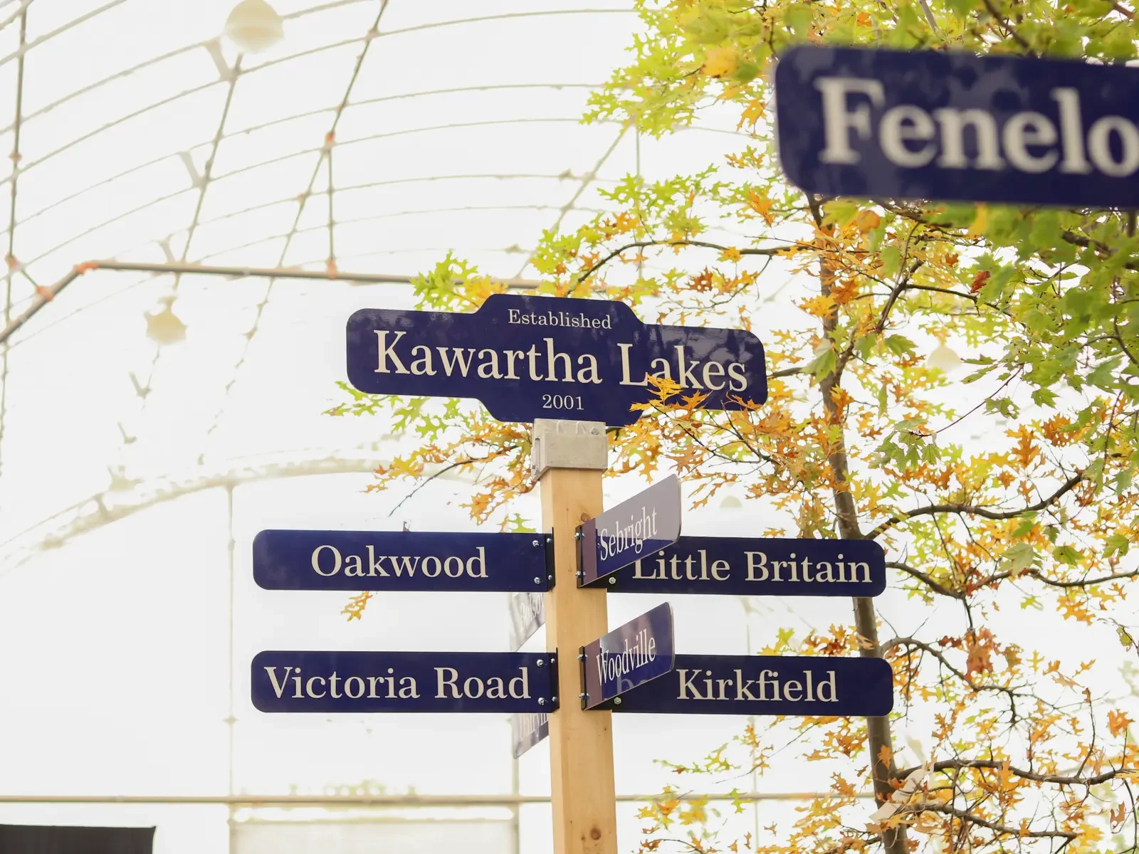 Shaping the future of wayfinding in Kawartha Lakes