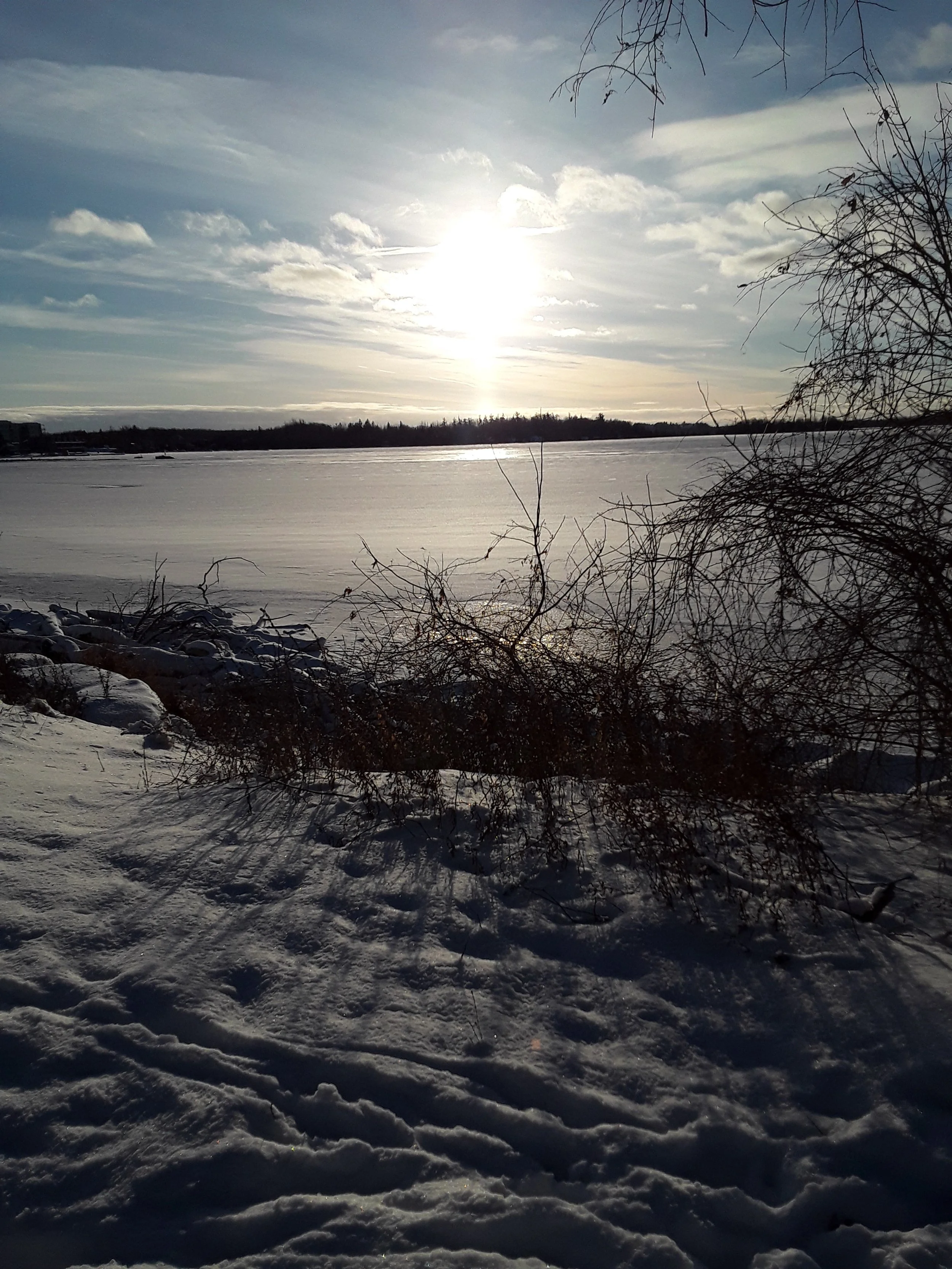 Submitted by Peter Stauffer