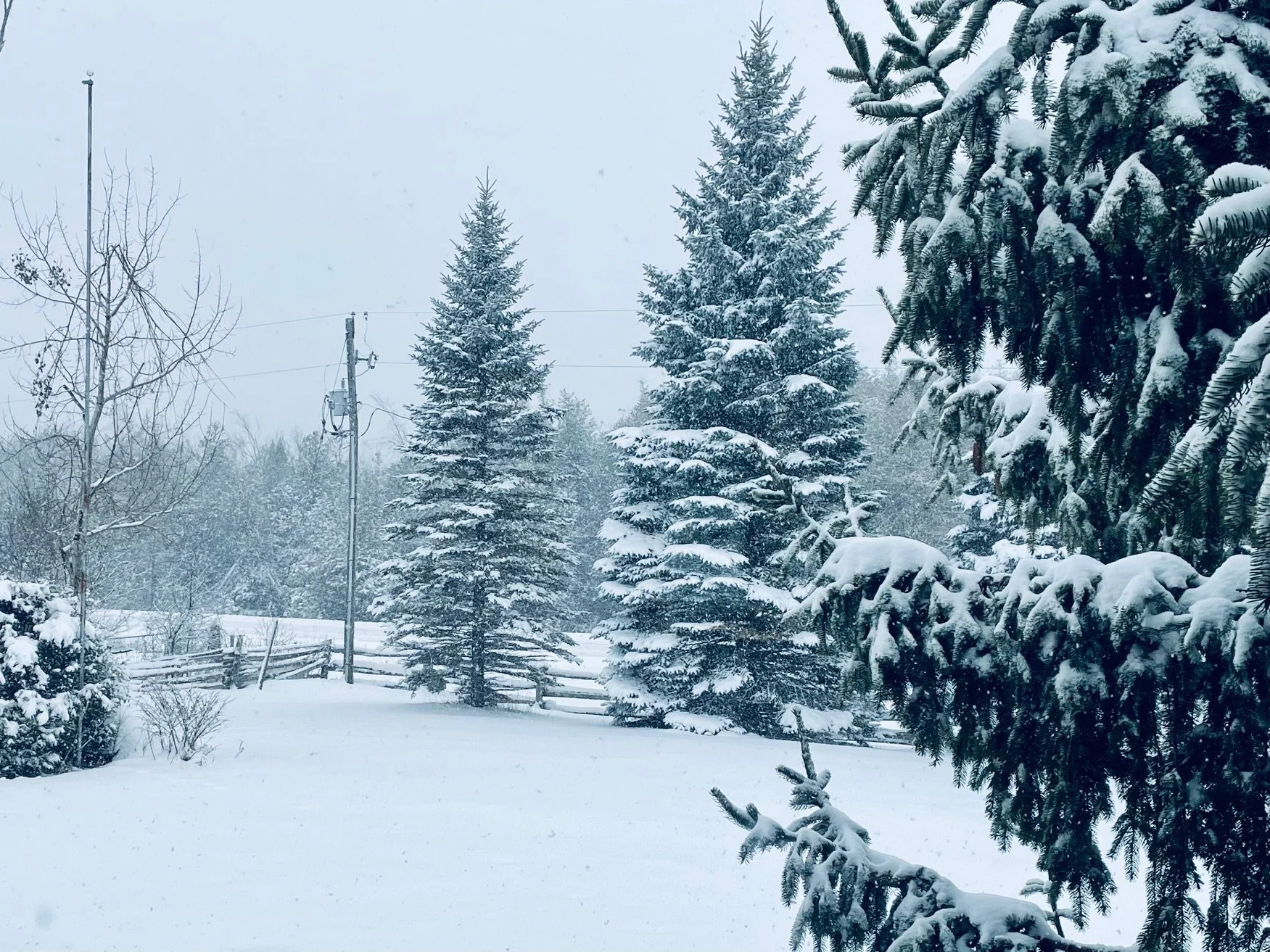 Photo Round Up - December 11th, 2025