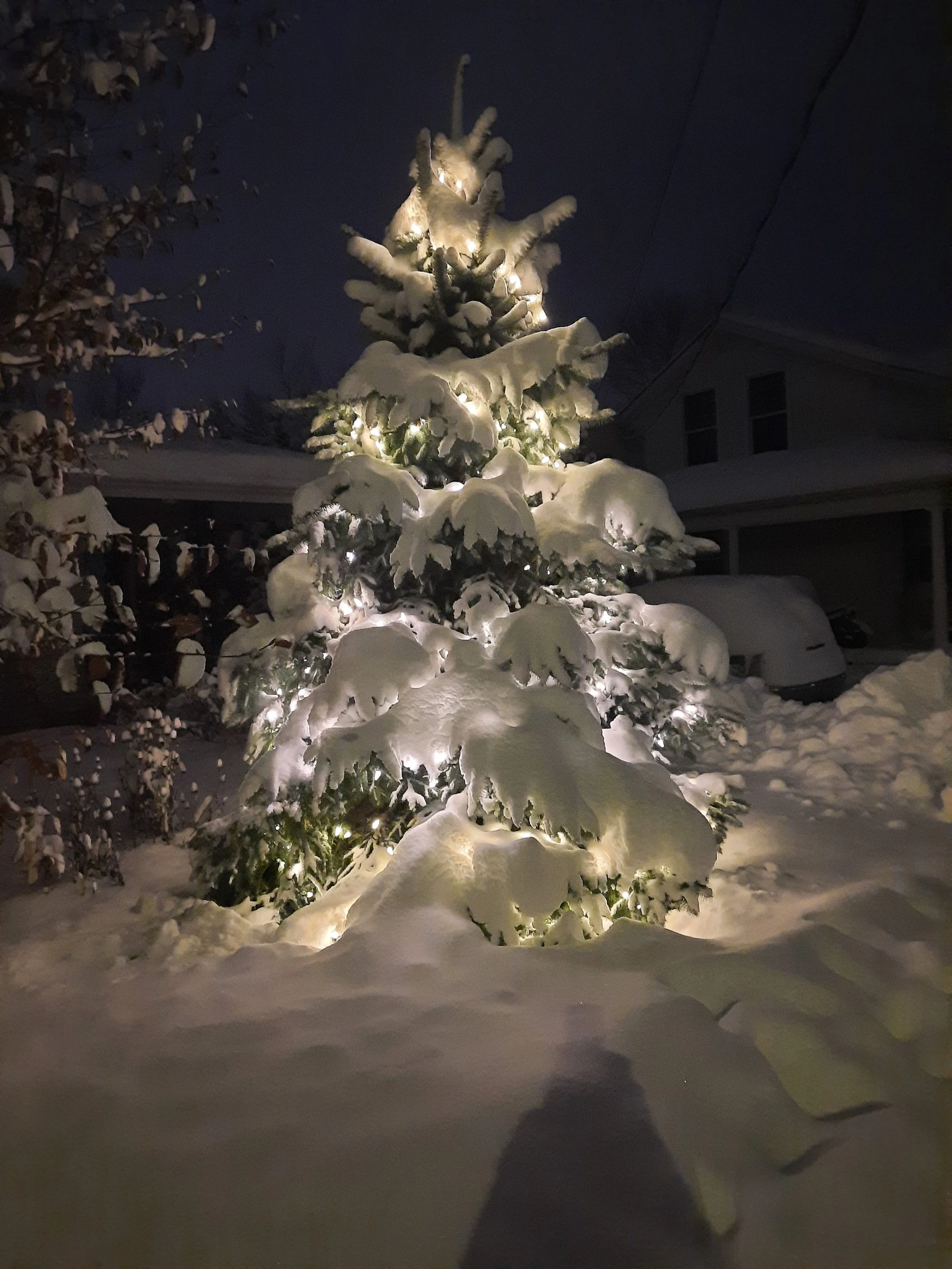 Submitted by Sue Simpson