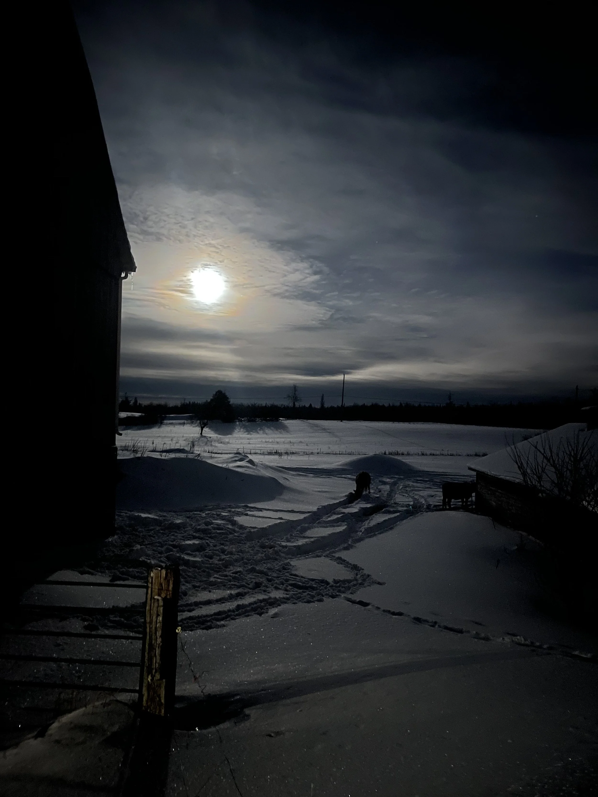 Photo Round Up - January 15th, 2026