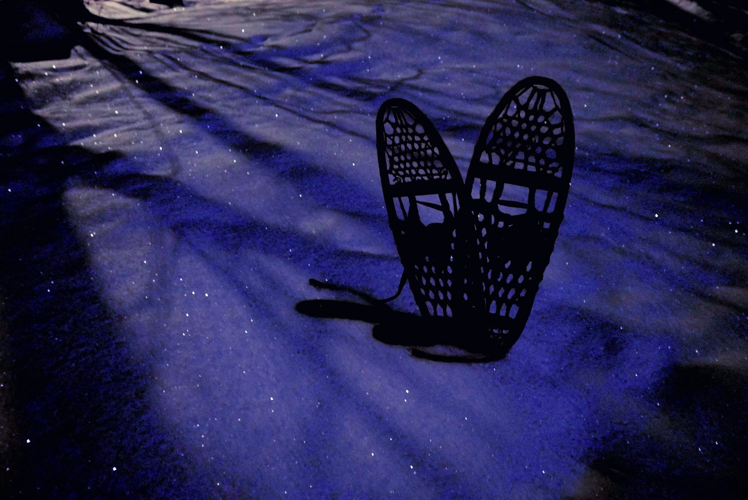 Cabin Fever? Not in Fenelon Falls