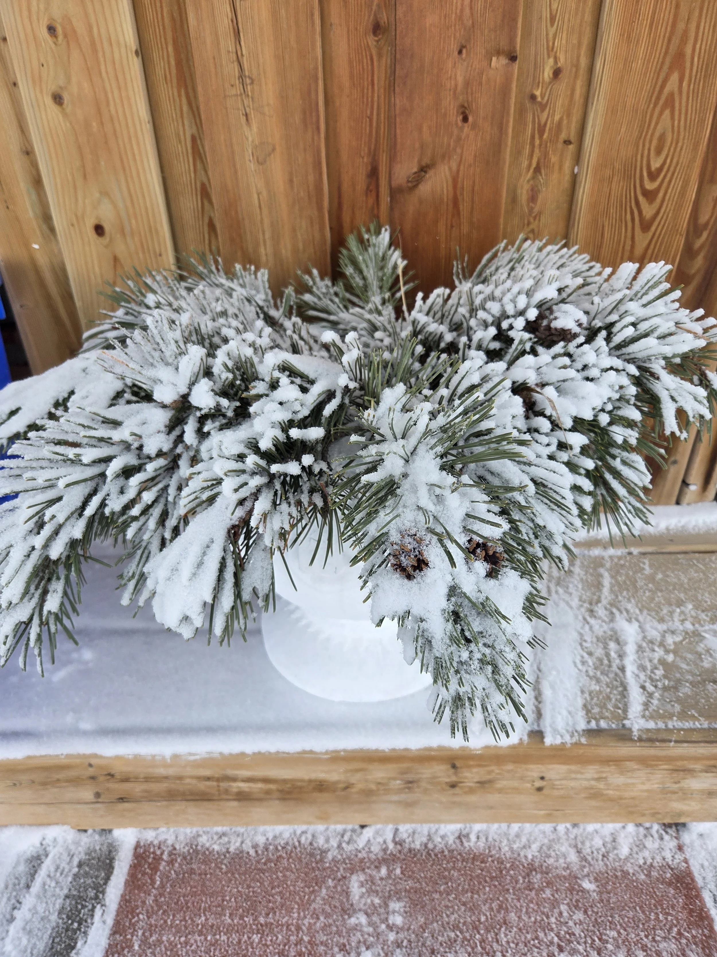 Submitted by Sue Simpson