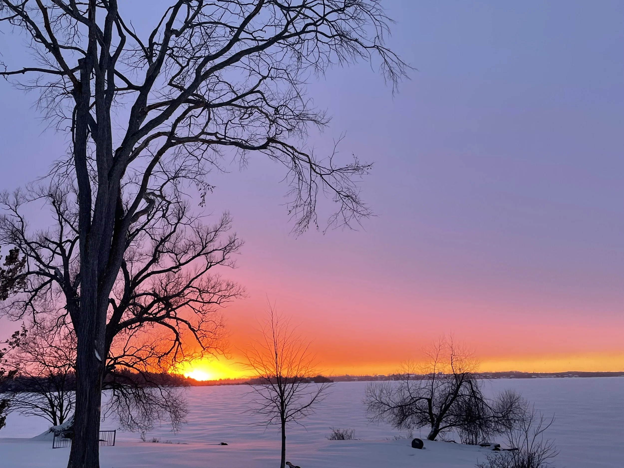 Submitted by Sandy Kerr