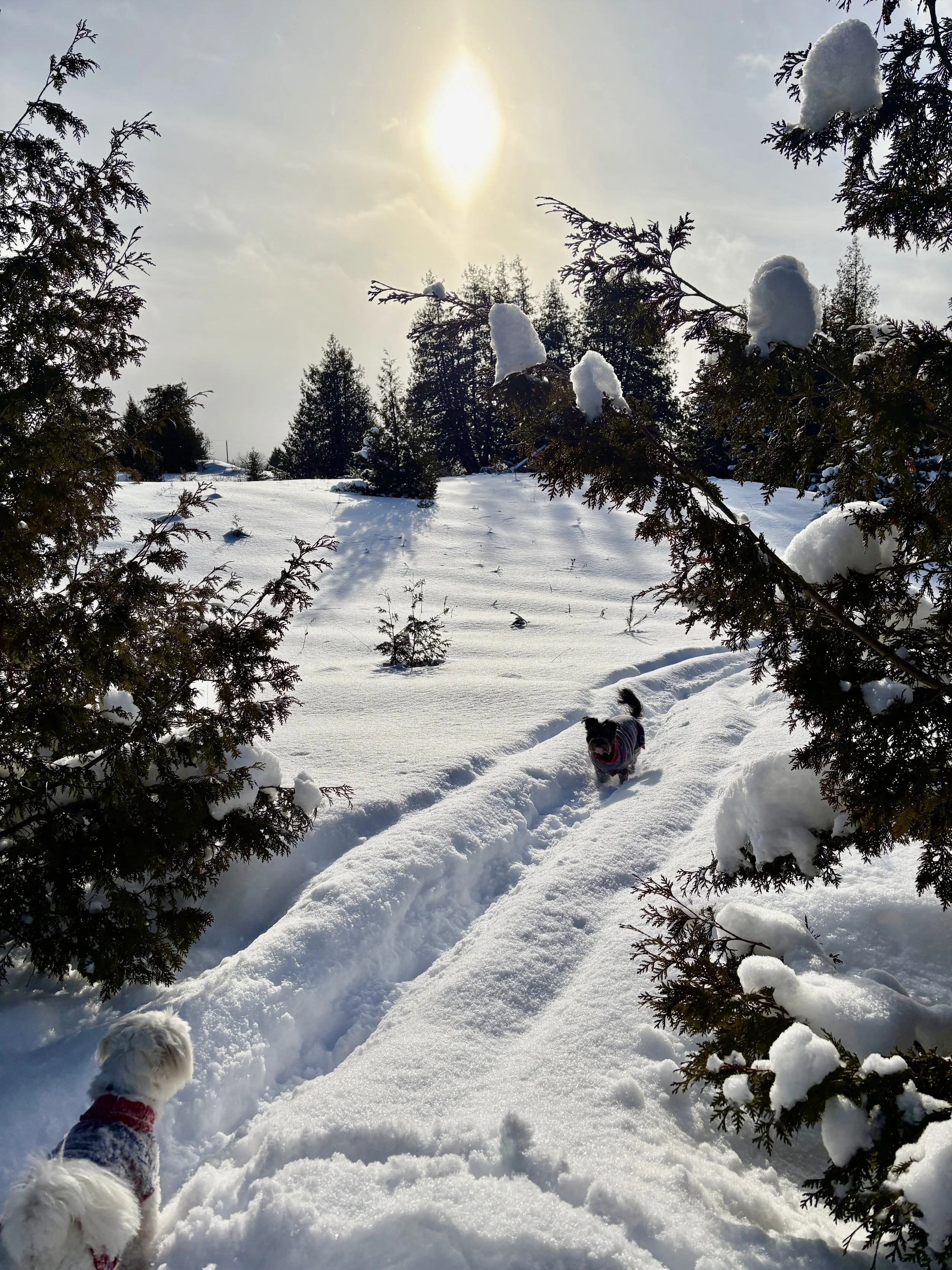 Photo Round Up - January 22nd, 2026  