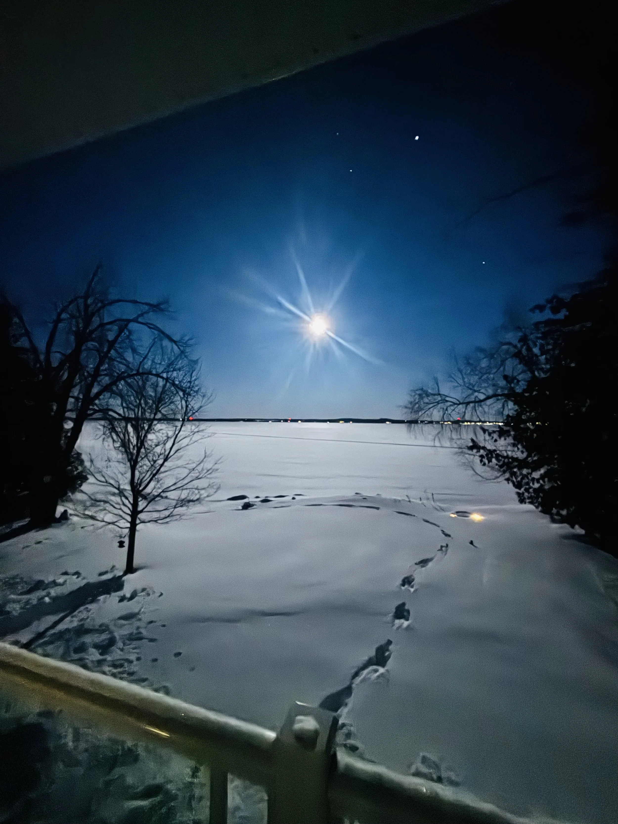 Submitted by Lue-Ann Swanson