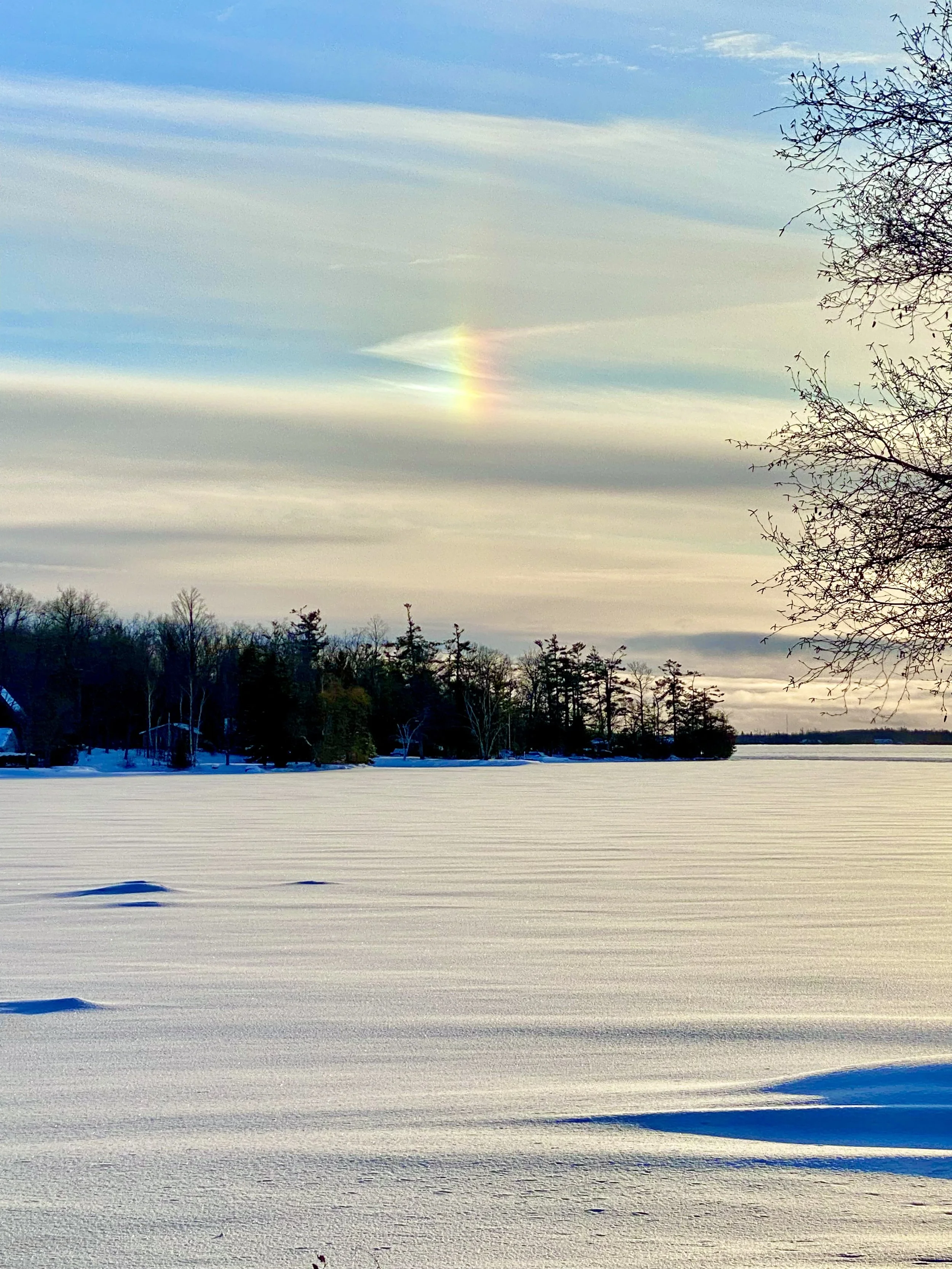 Photo Round Up - February 5th, 2026  