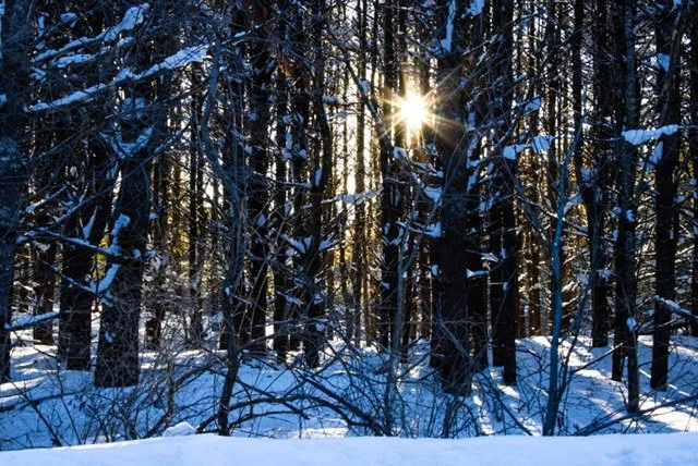 Submitted by Lisa Merrill