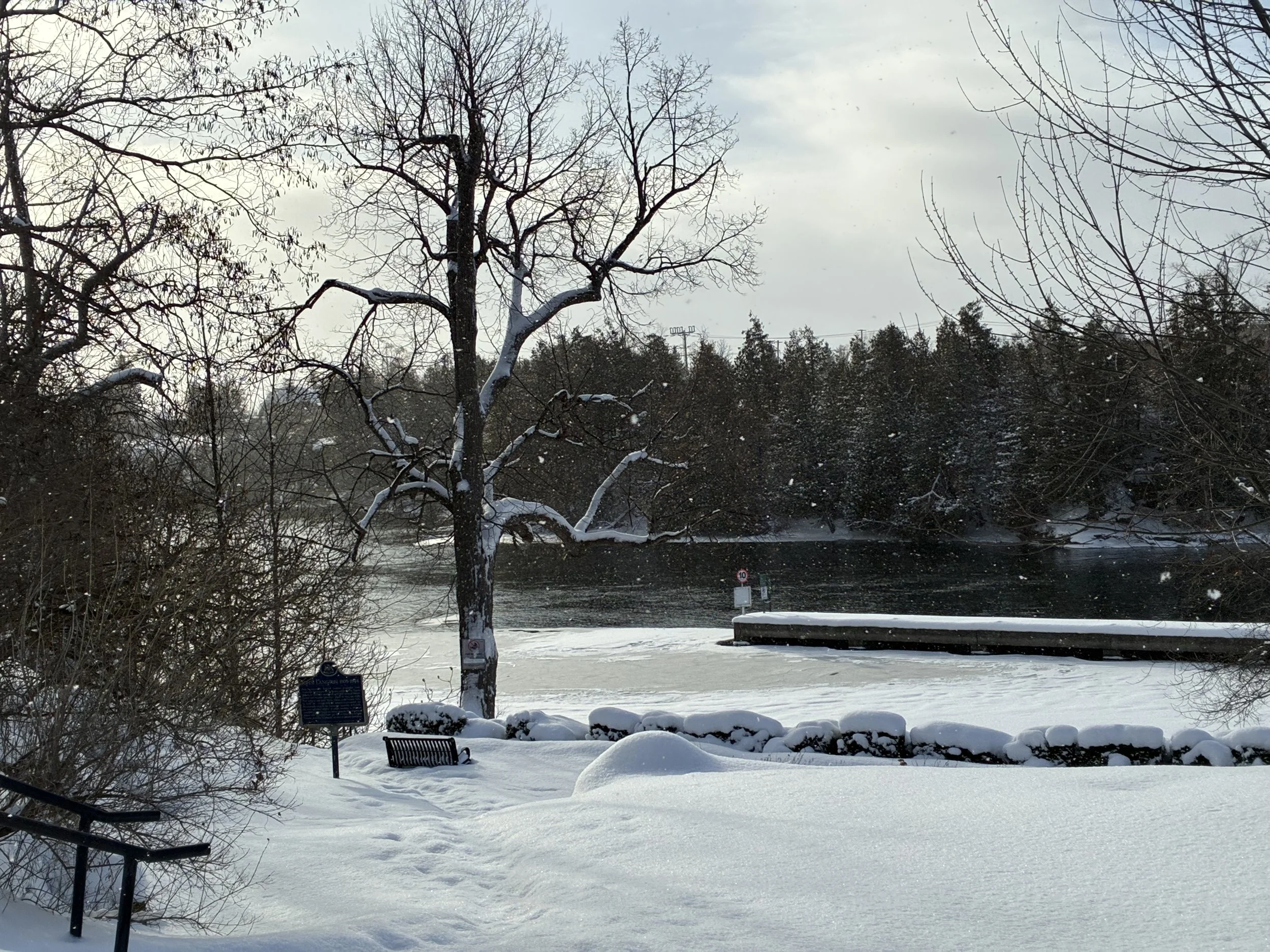 Submitted by Angela Poulsom