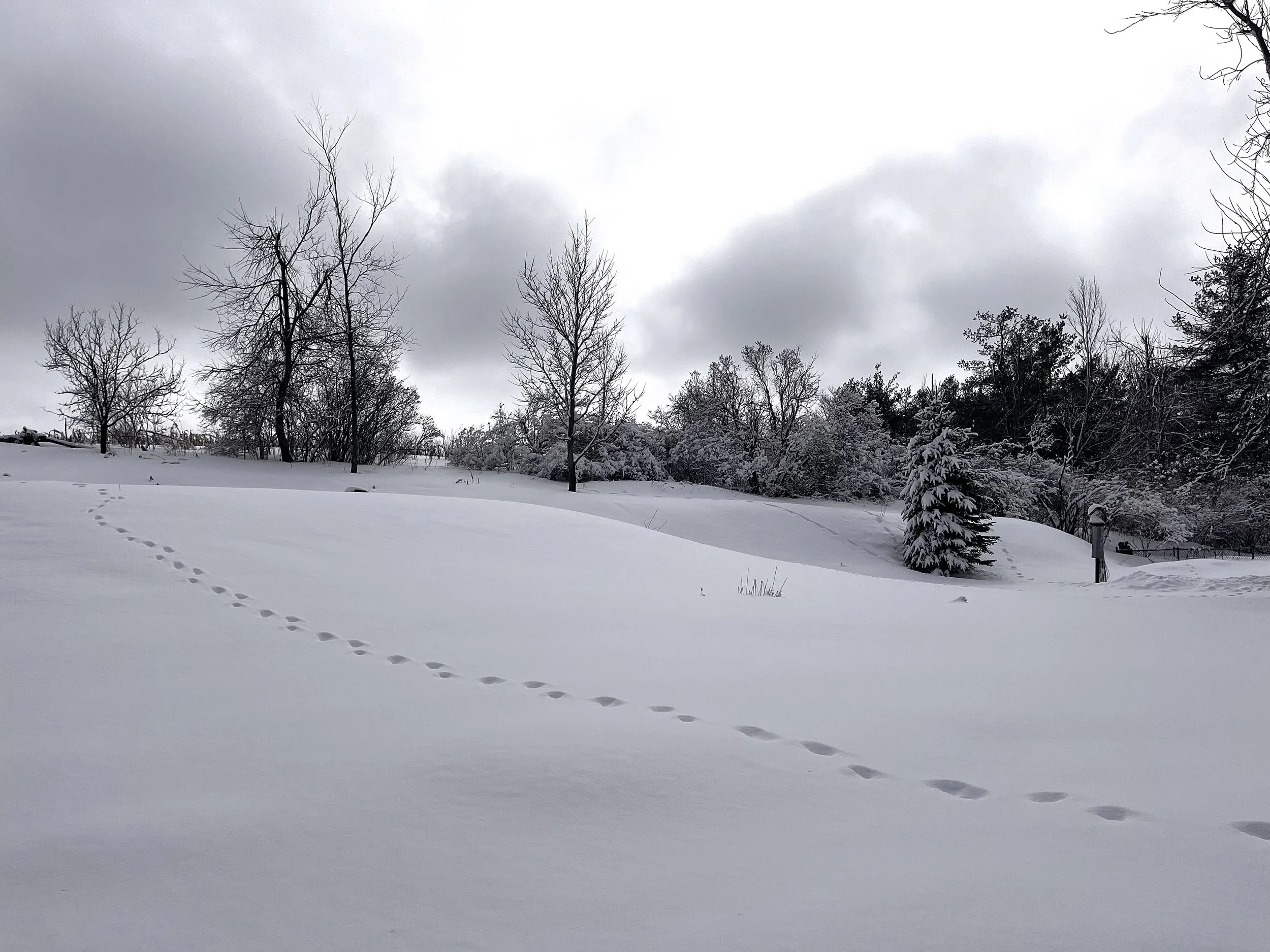 Submitted by Kate Kiernan