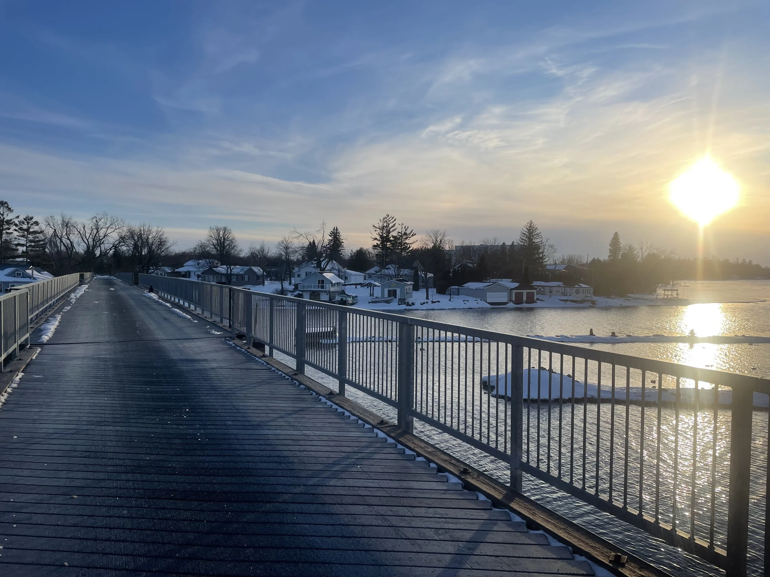 Submitted by Anne Barbour