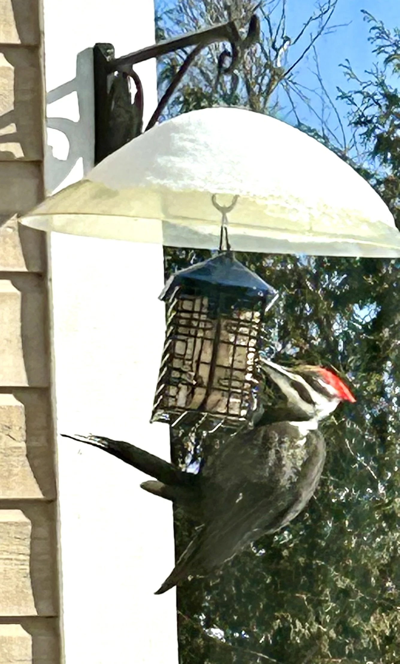 Submitted by Bruce Jepson