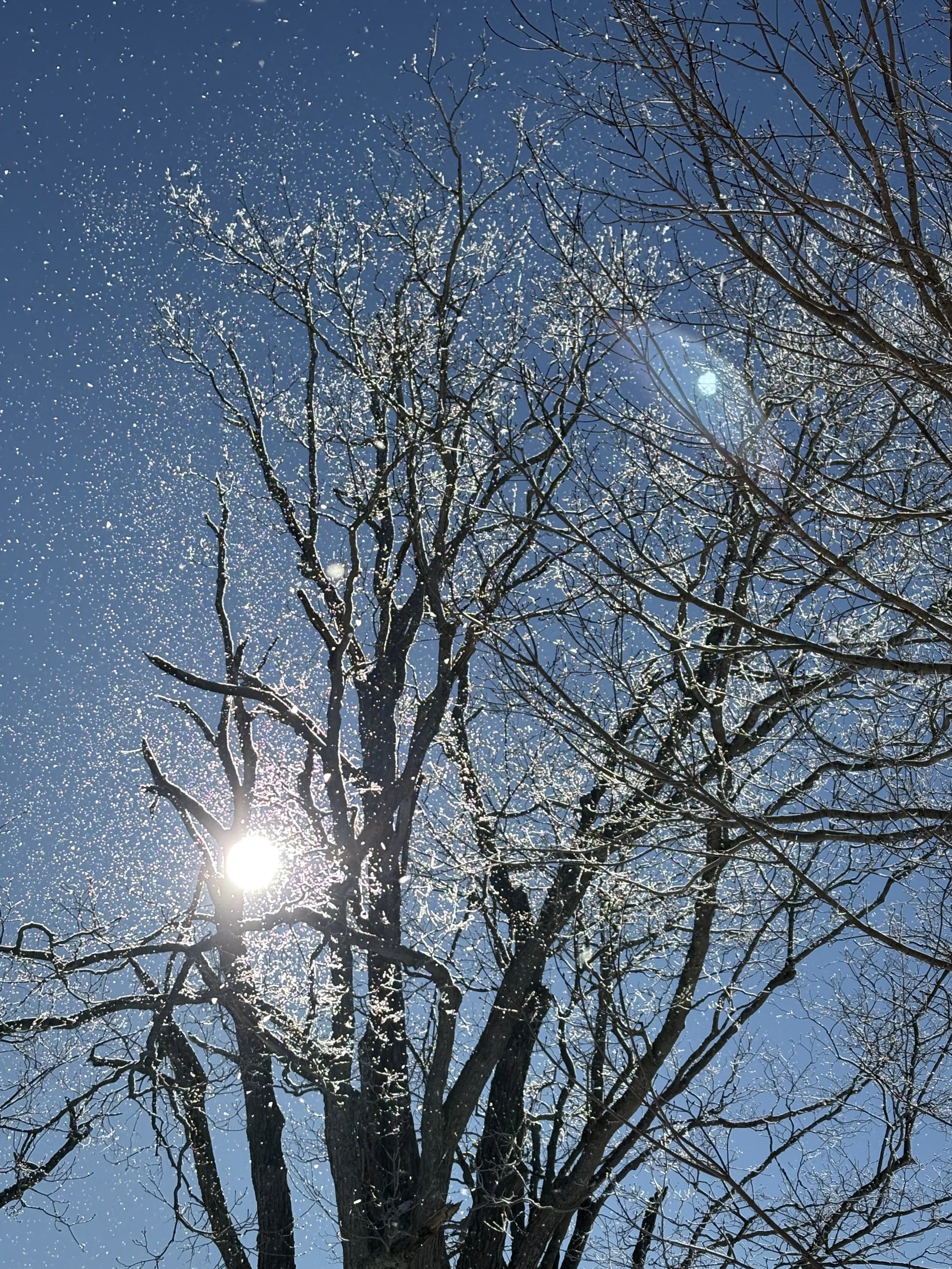 Photo Round Up - March 12th, 2026