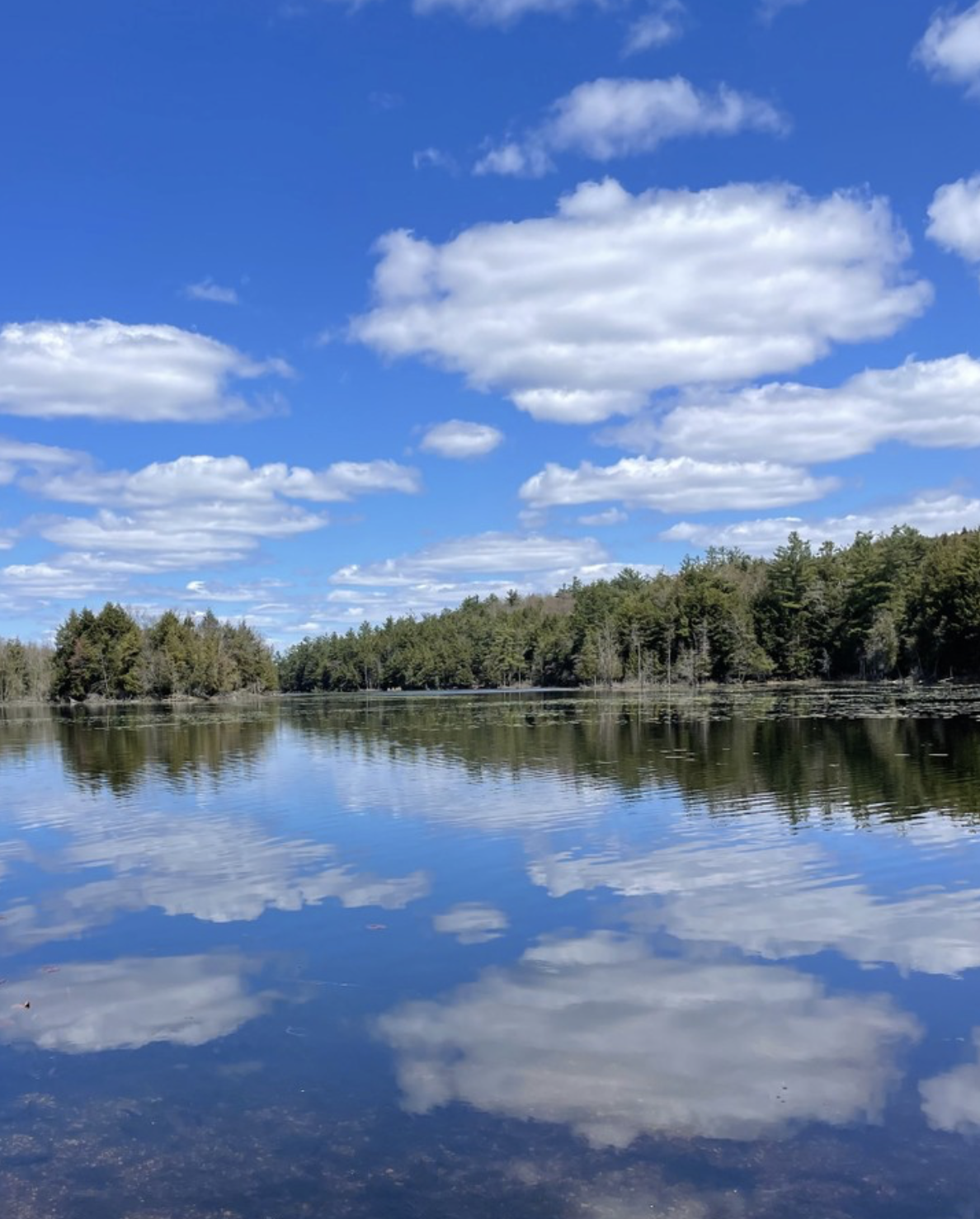 Submitted by Anne Gamsby 