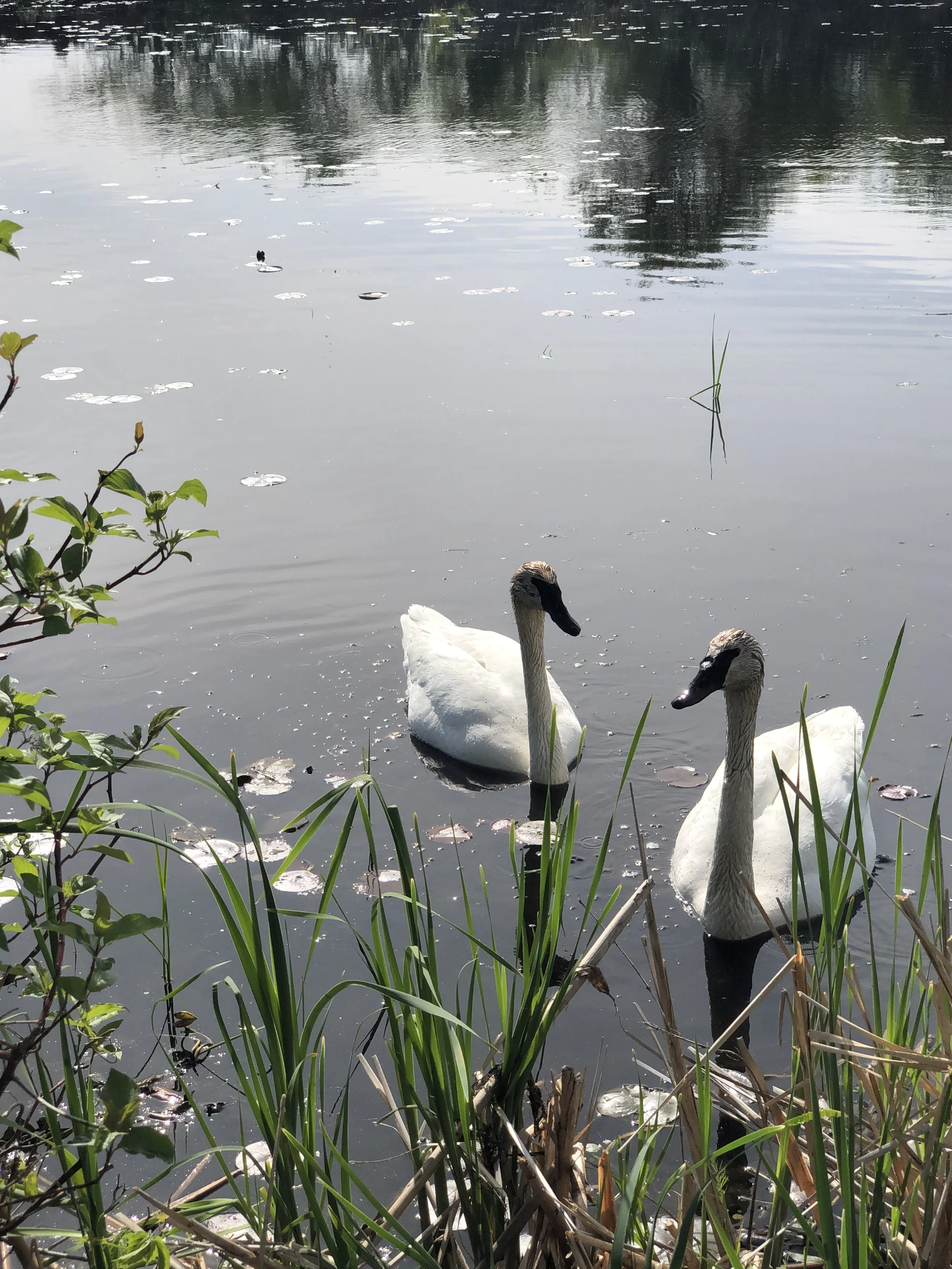 Photo Round Up - Spring Special!