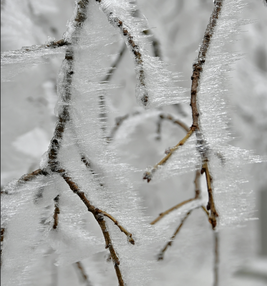 Kawartha Lakes to Receive Funding from Ontario for Ice Storm Recovery