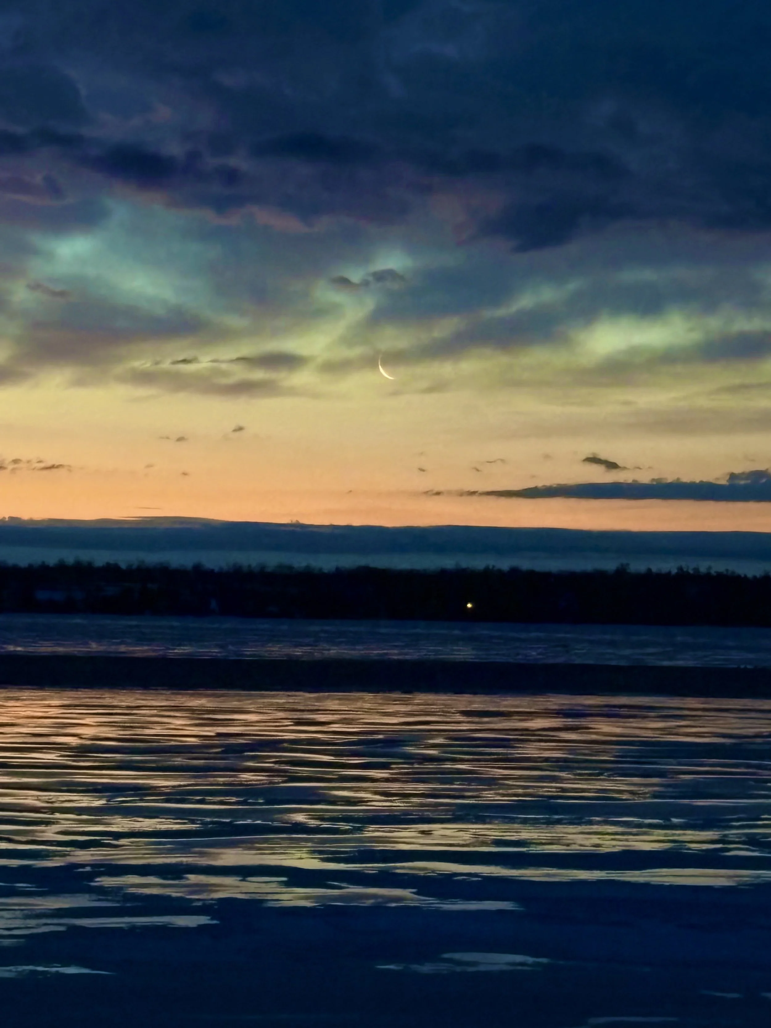 Submitted by Dale Hircock