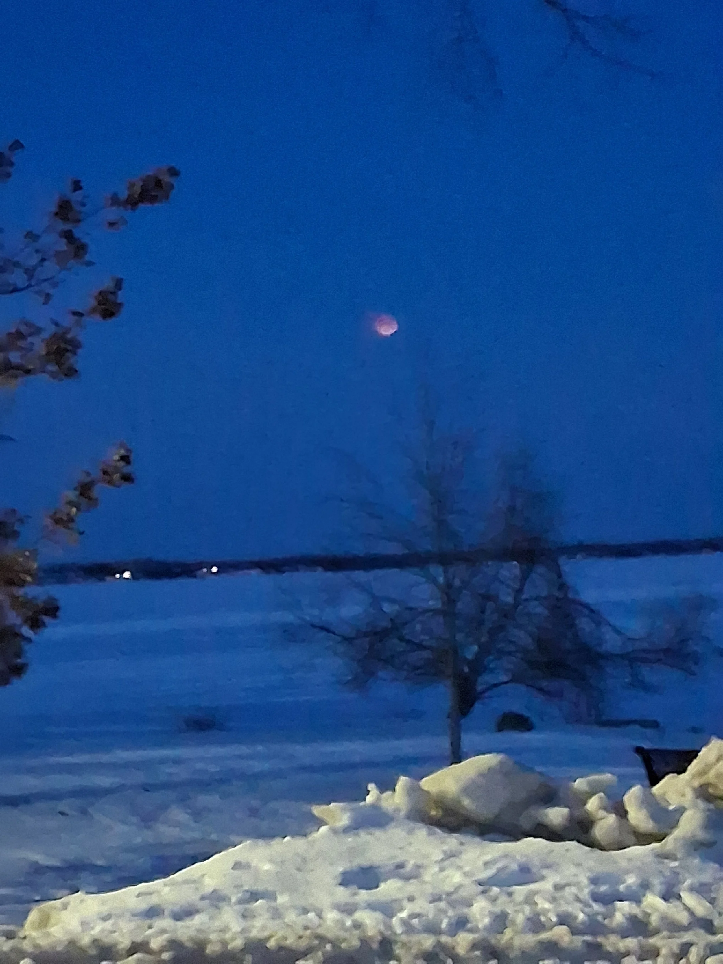 Submitted by Ed Sandford 