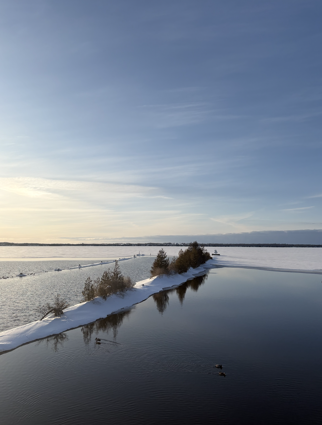 Submitted by Chantal Soutar