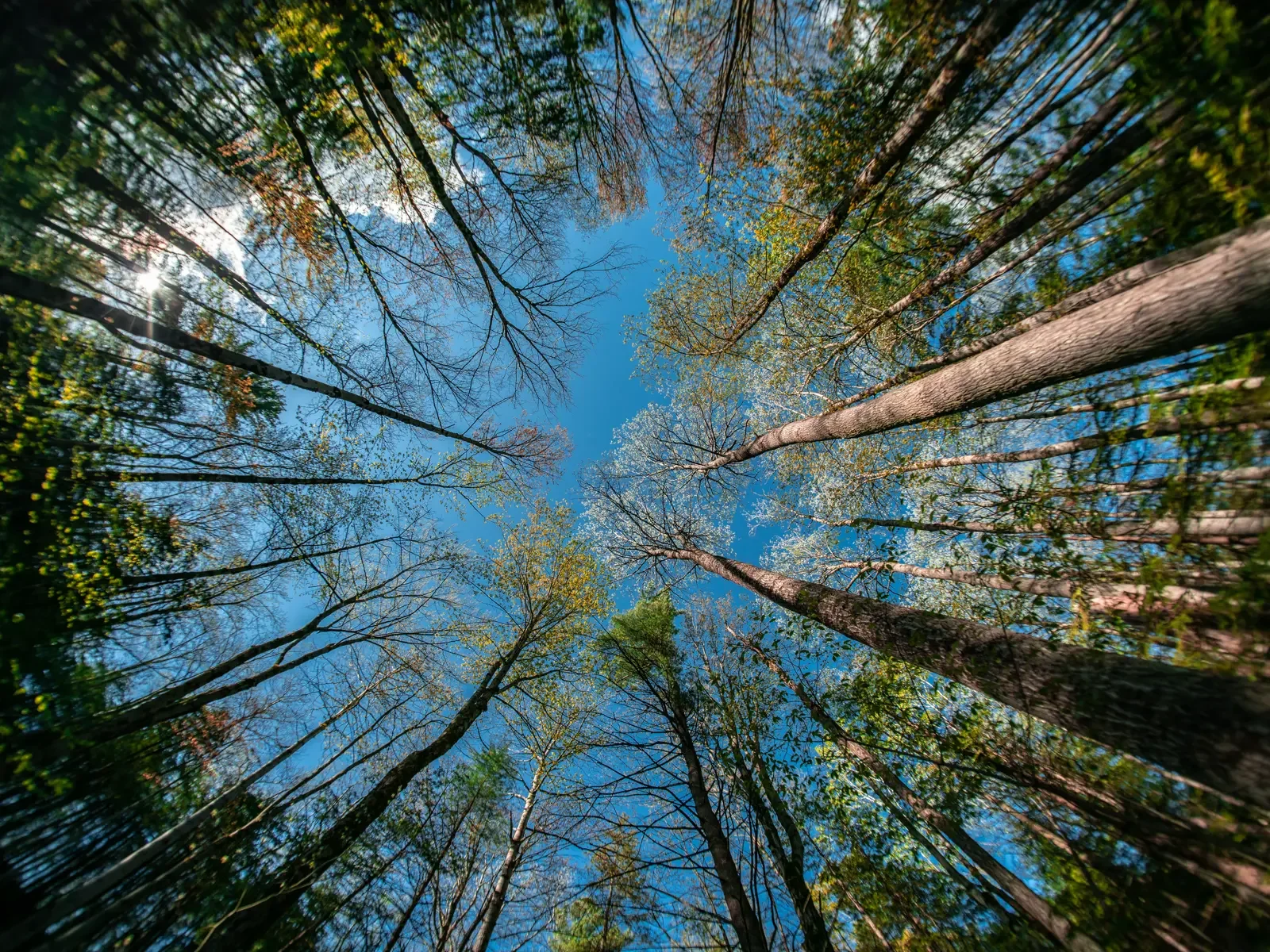 Celebrate Earth Week 2026 in Kawartha Lakes