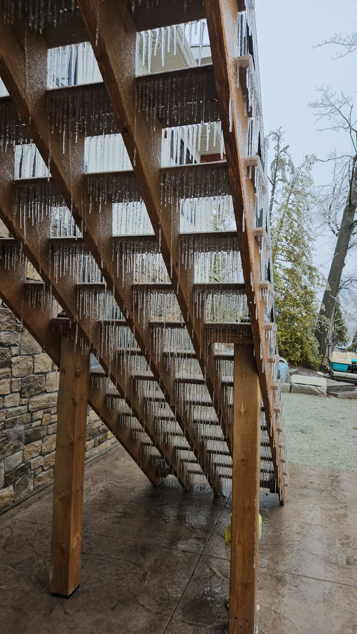 Submitted by Nancy Alexander