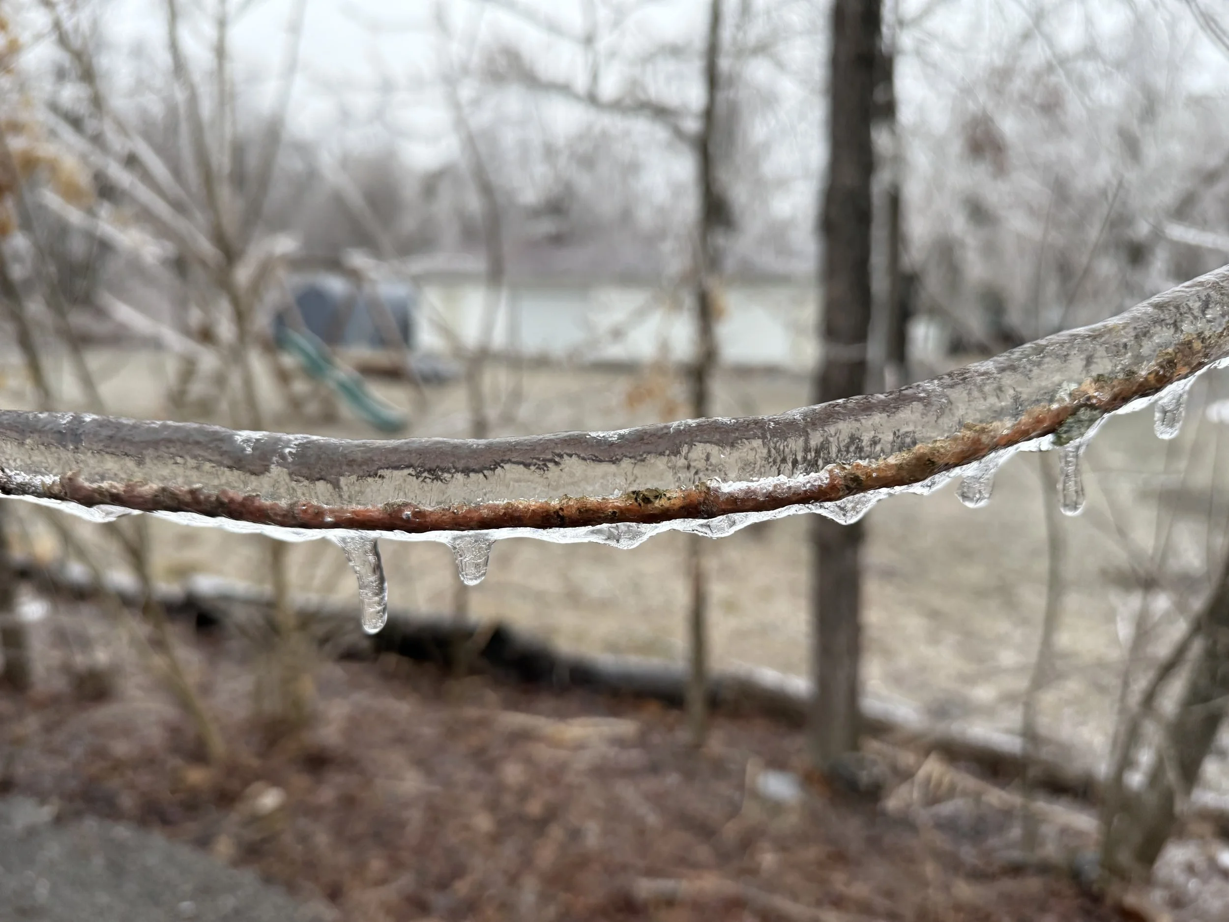 Submitted by Dan Jones