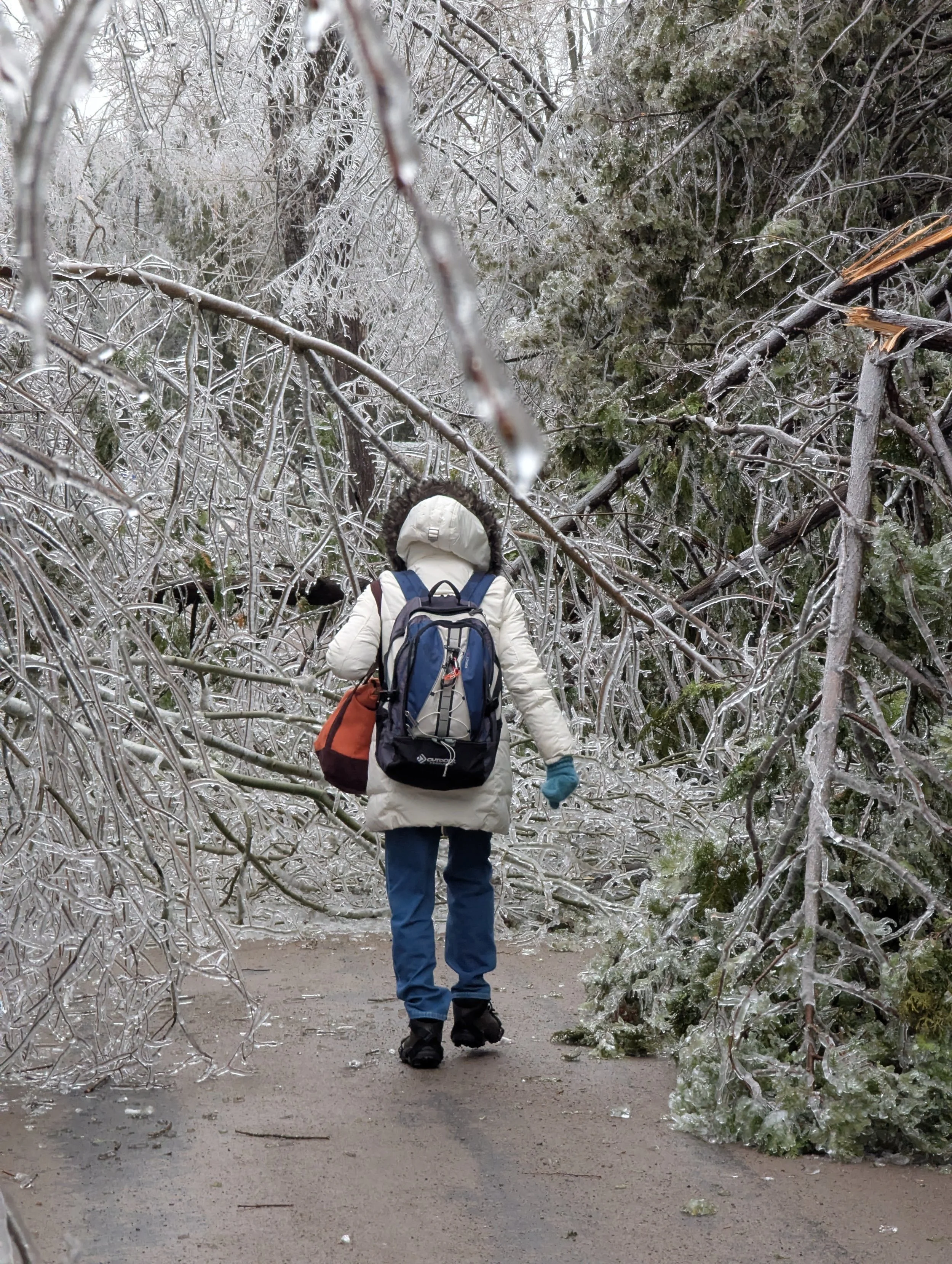Photo Round Up - 2025 Ice Storm Reflection