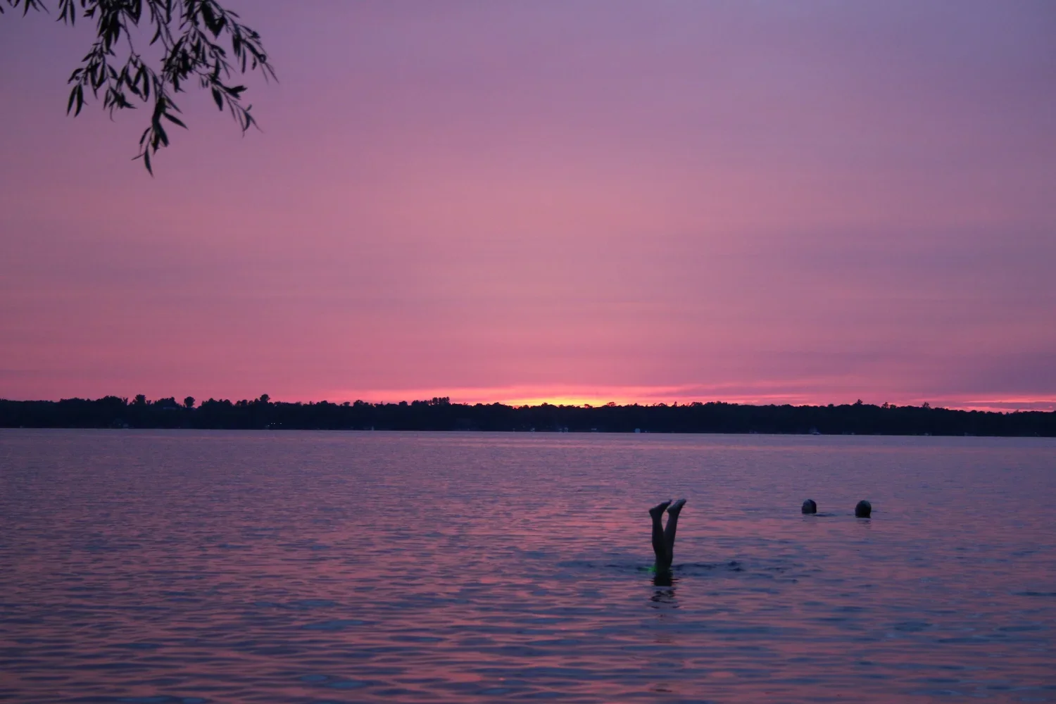 Submitted by Jim Patterson