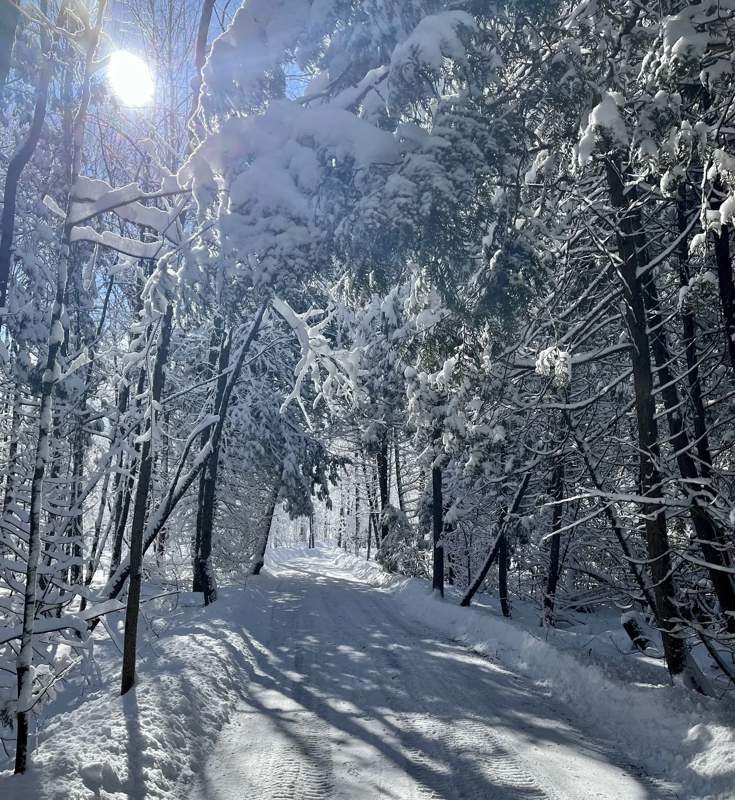 Submitted by Kate Kiernan