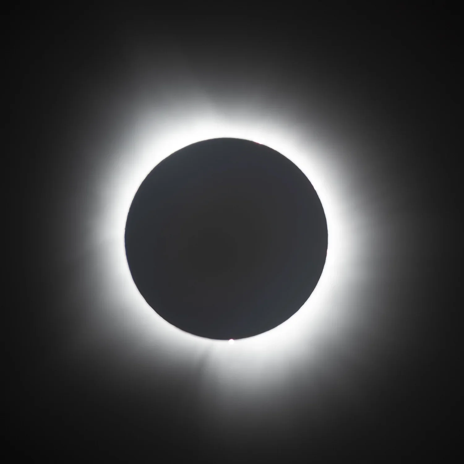 Submitted by Alice Hebb