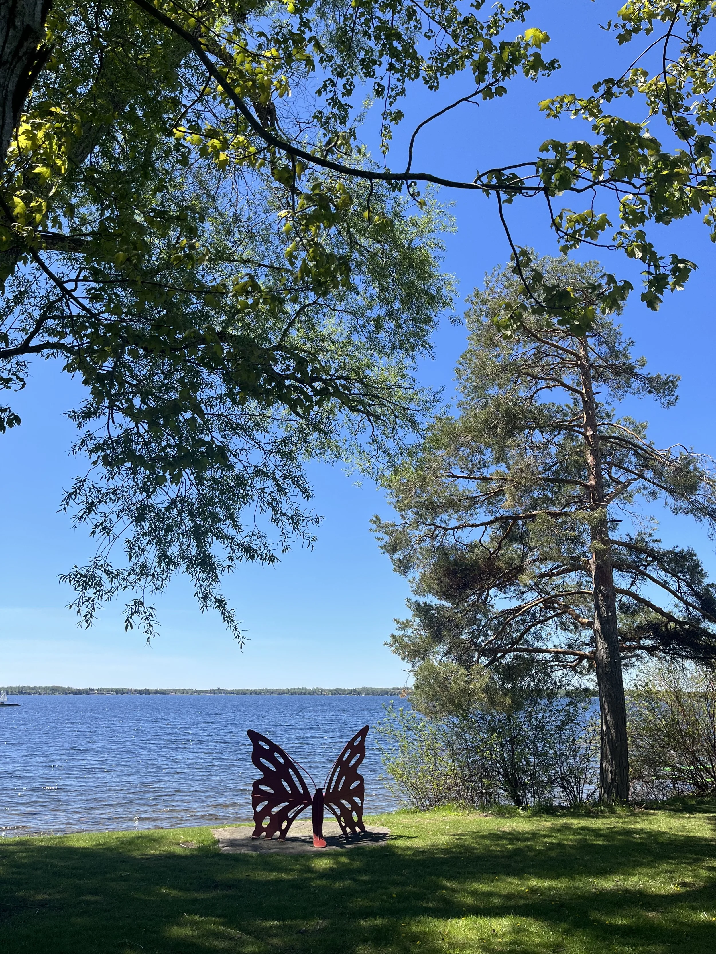 Photo Round Up - June 4th, 2026