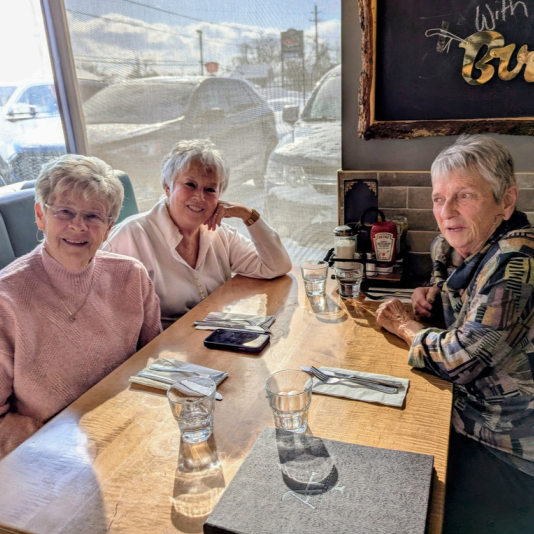 Introducing the Fenelon Falls Community Impact Tribute