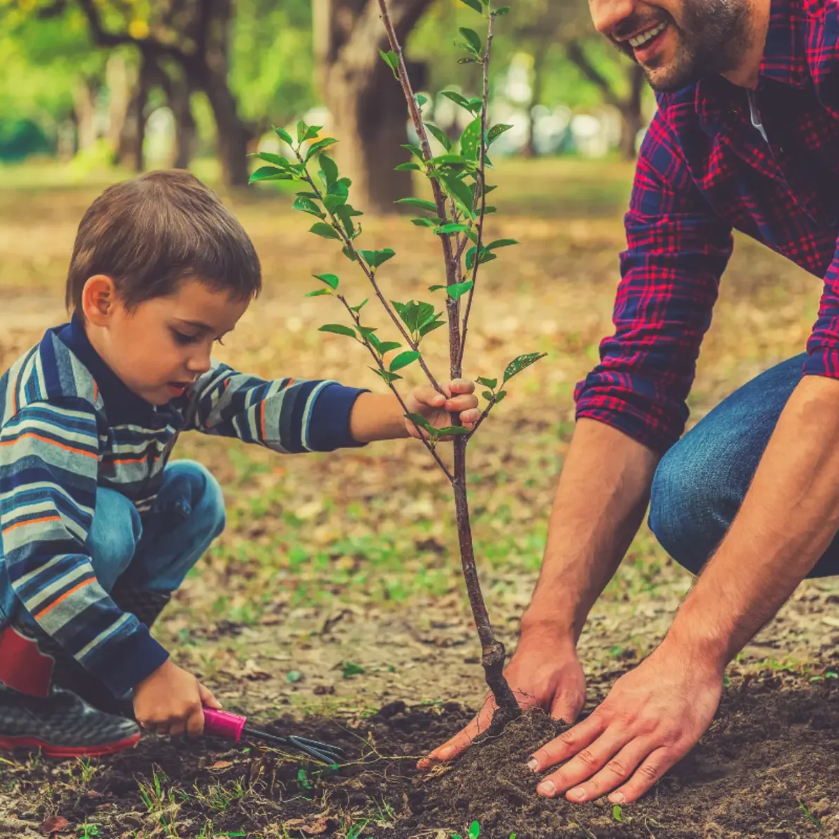 Nominate an Environmental Hero