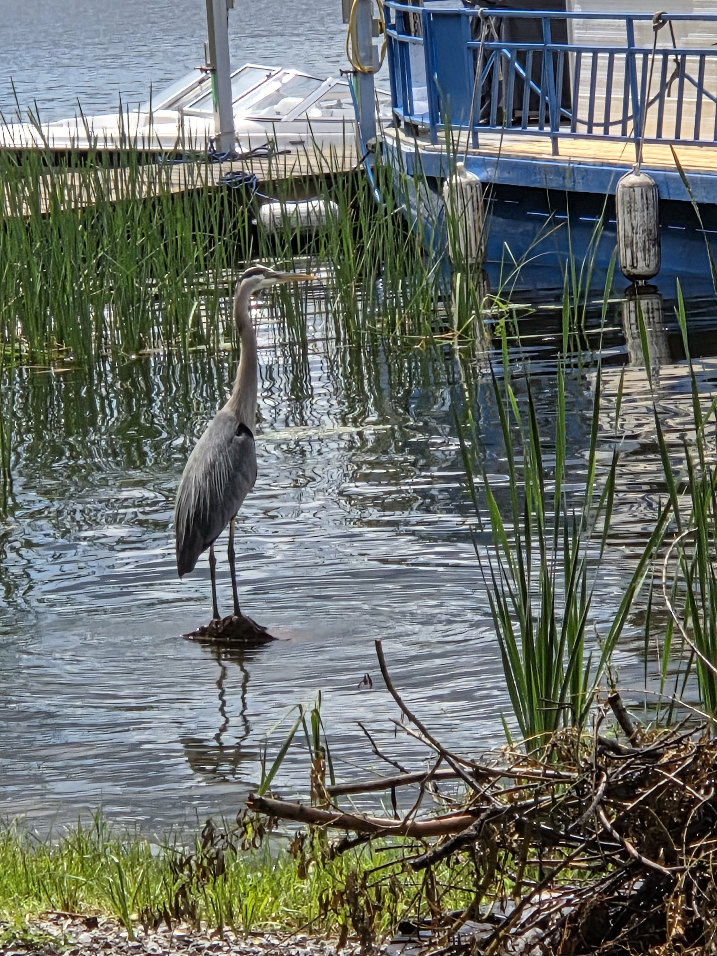 Photo Round Up - July 2nd, 2026