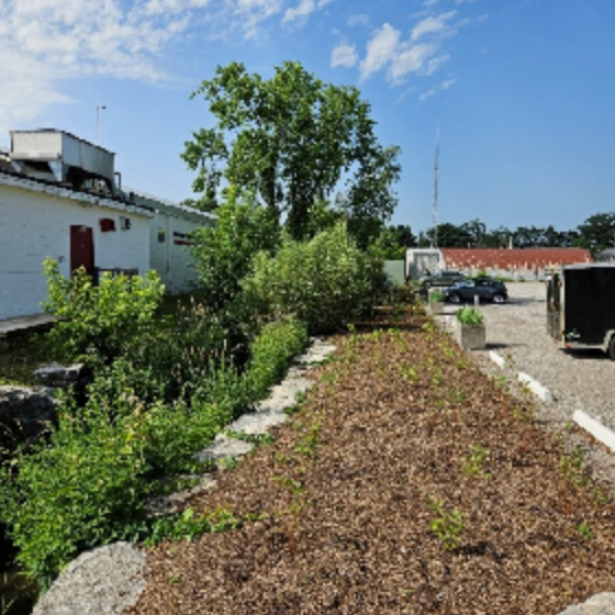 Have You Seen The Planting At The Farmers Market?