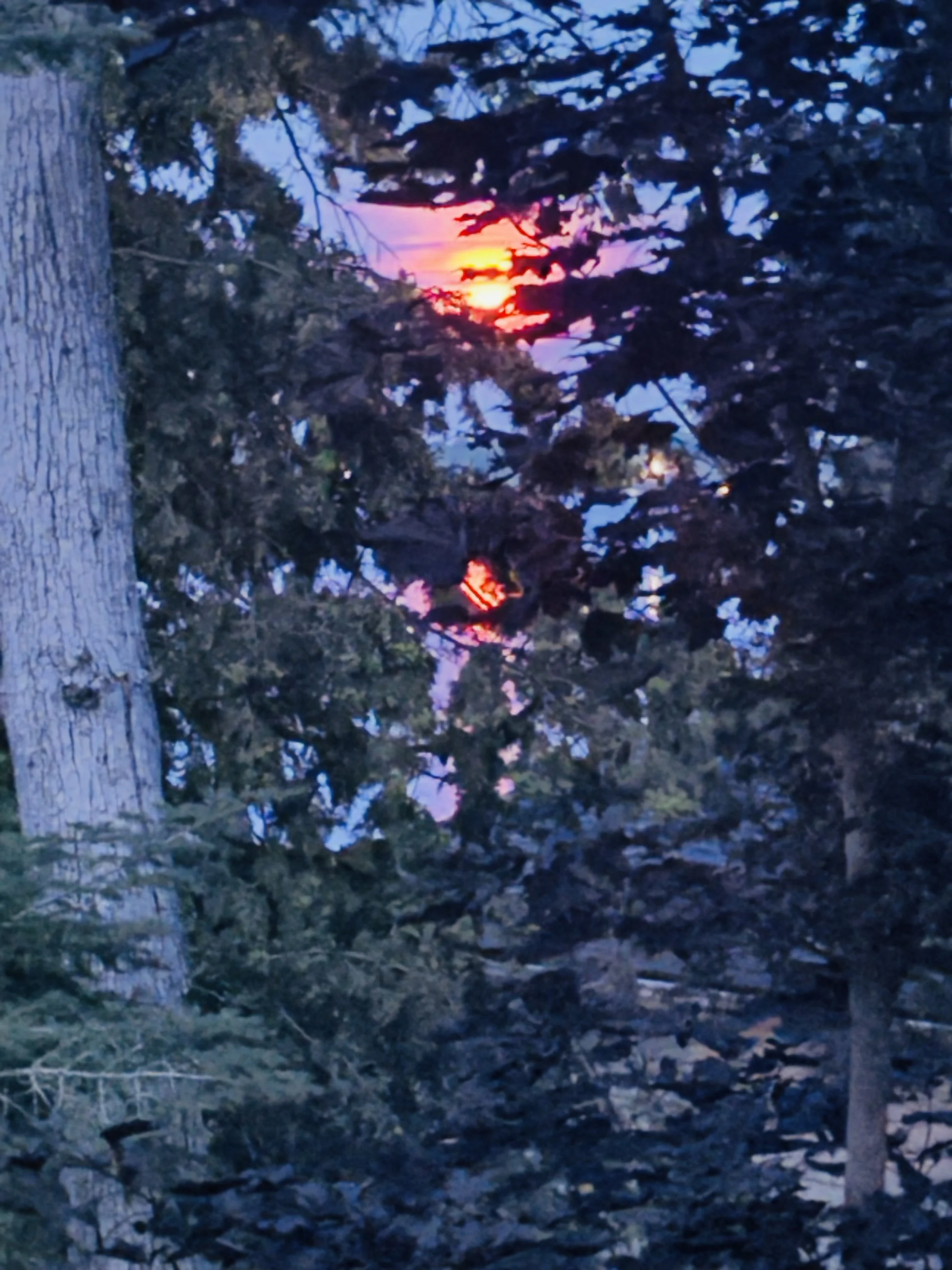 Submitted by Lue -Ann Swanson