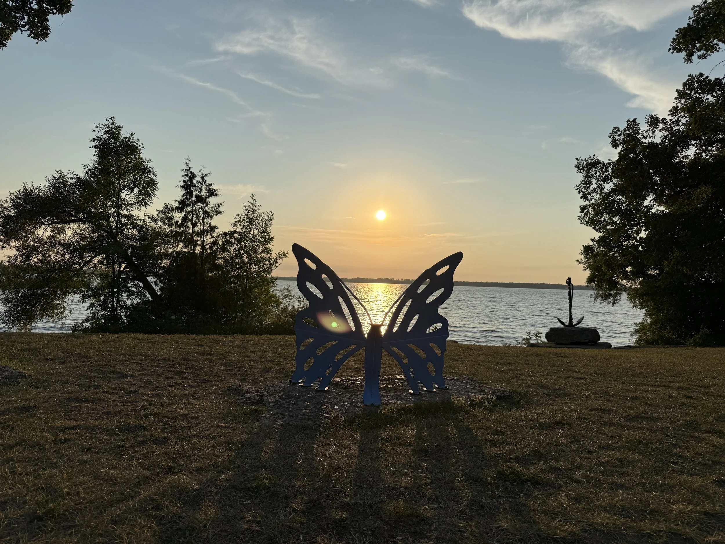 Submitted by Susanne Meyer