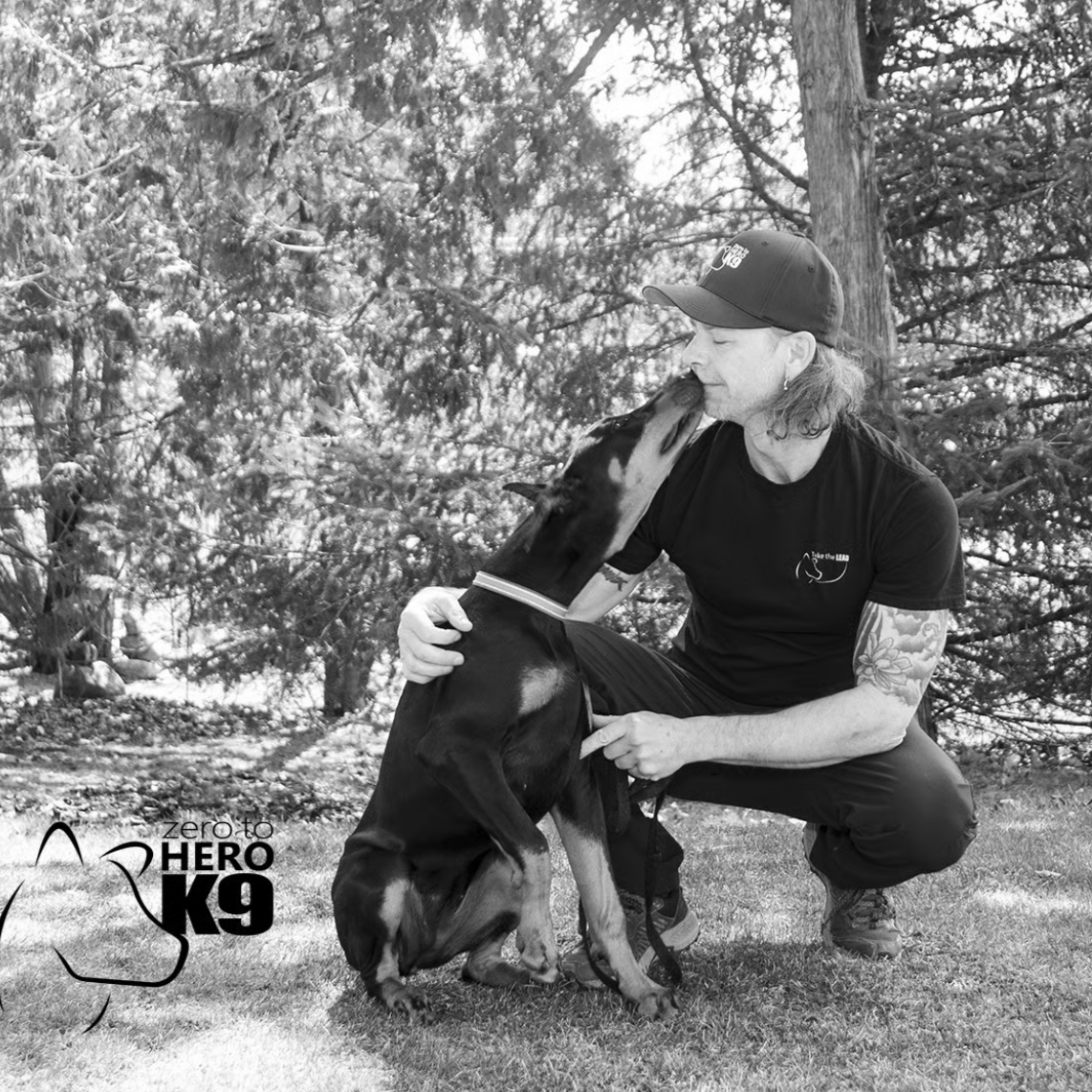 The Top 5 Mistakes New Dog Owners Make (And How to Avoid Them)