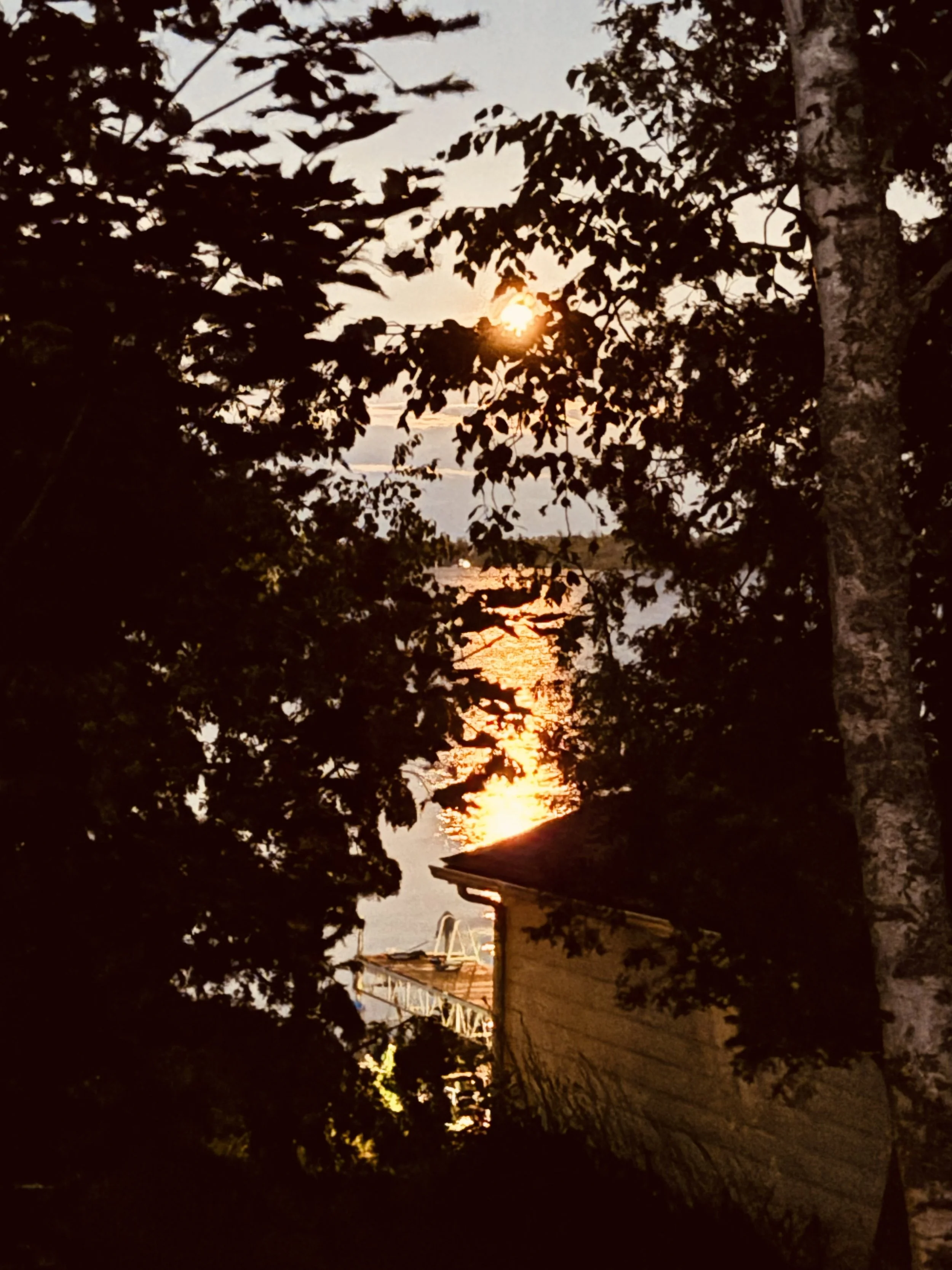 Submitted by Lue- Ann Swanson
