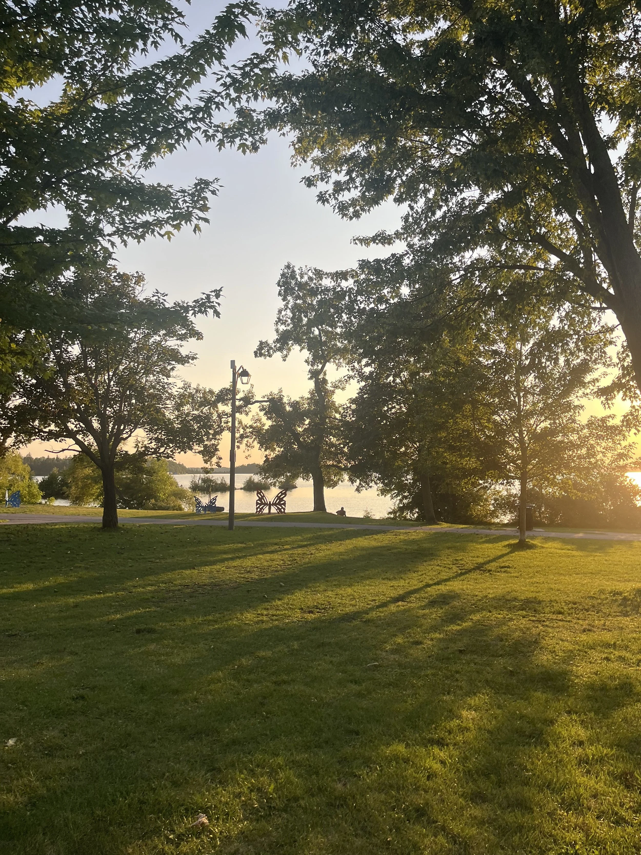 Submitted by Alexis Ferguson