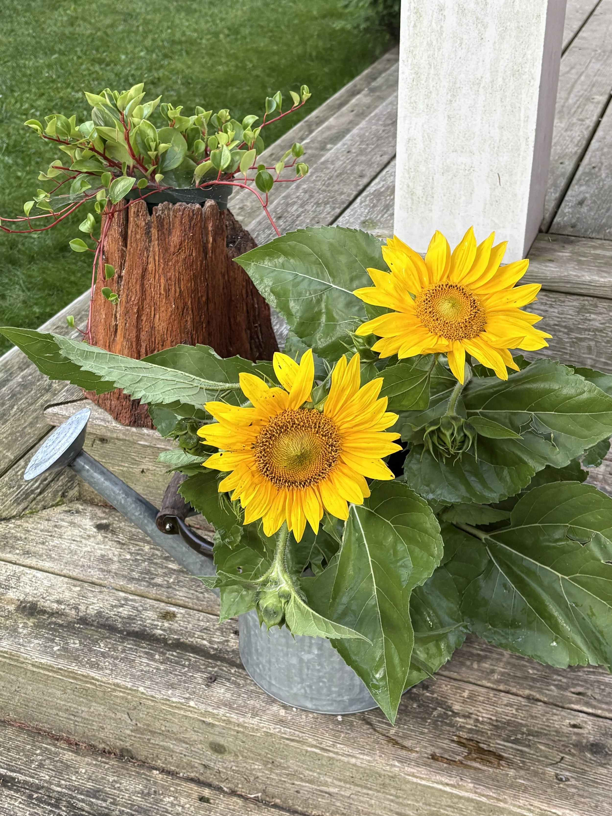 Photo Round Up - September 3rd, 2026