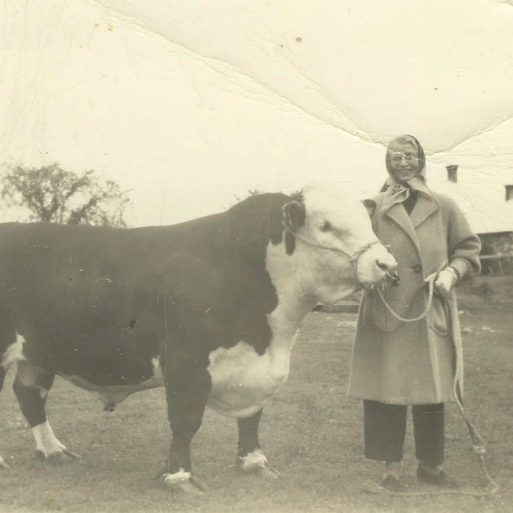 Maryboro Lodge Personality: Sheila Boyd