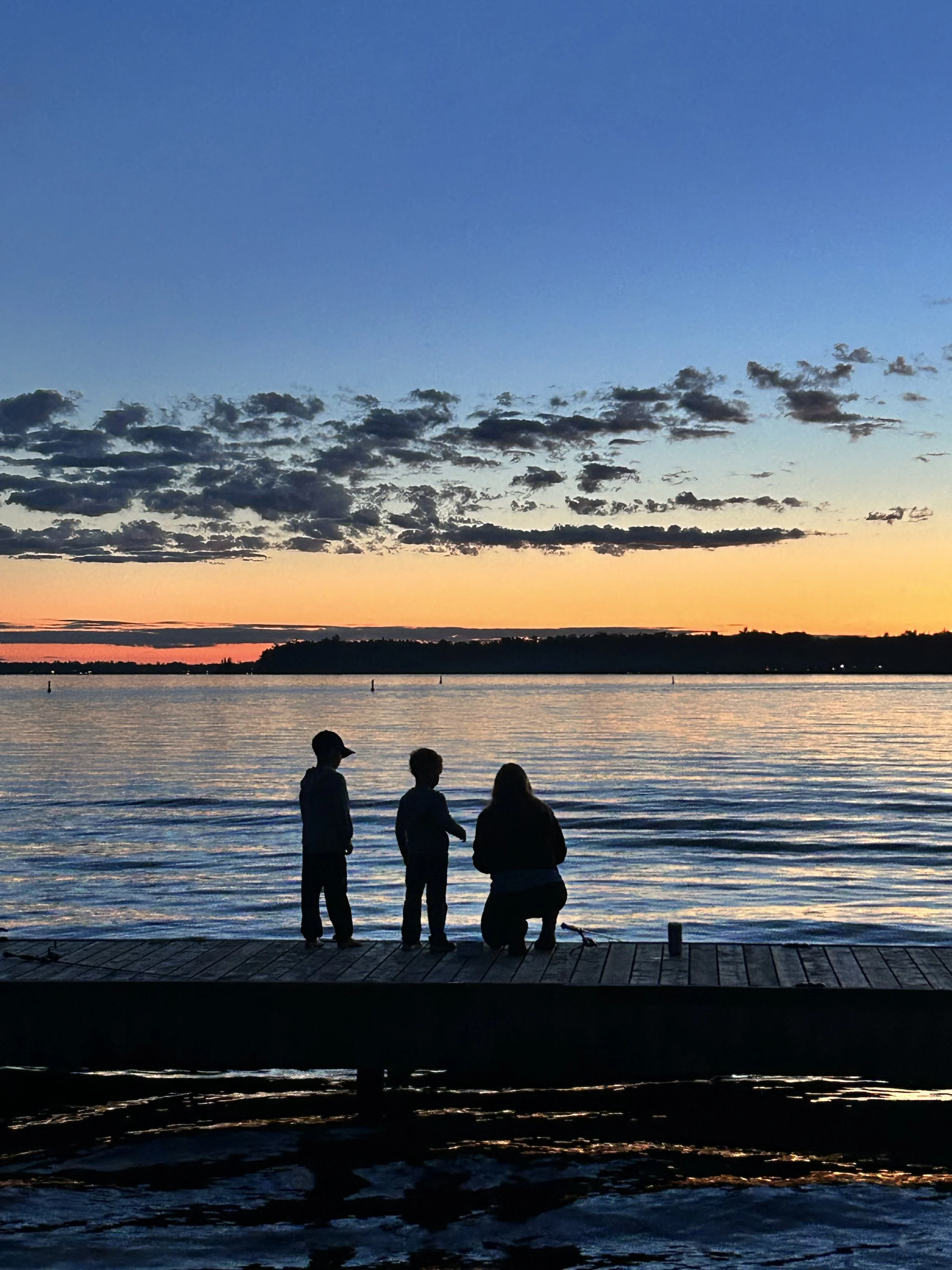 Submitted by Amanda Cottrell