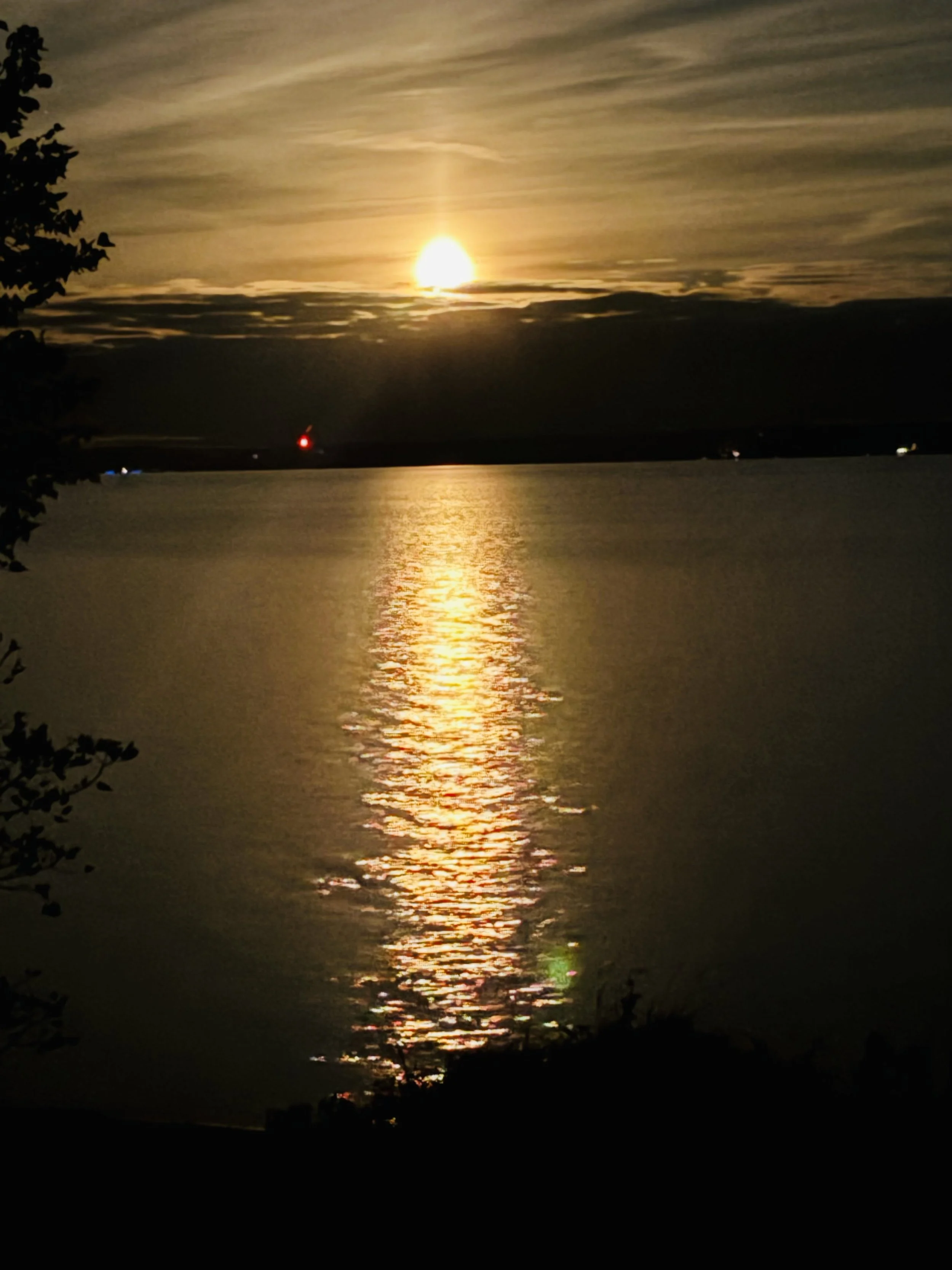 Submitted by Lue -Ann Swanson