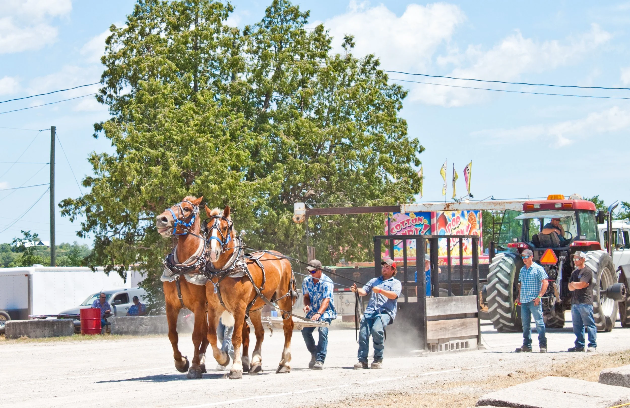 1. Horse Pull.jpg
